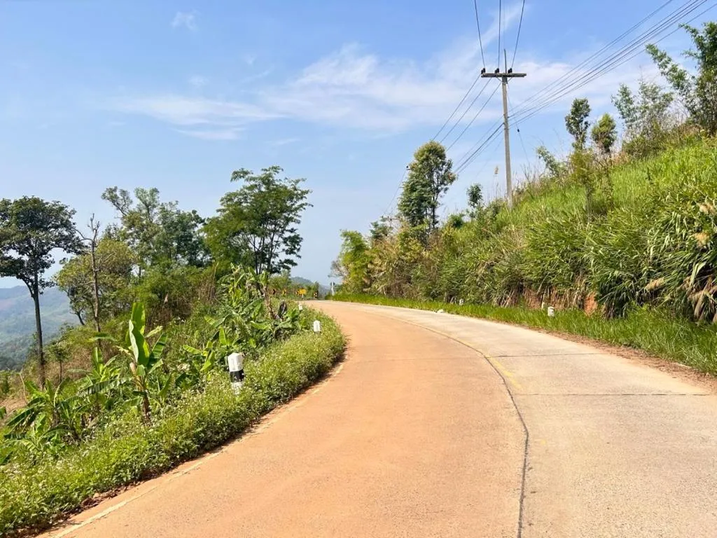 Spring in My Story Doichang Chiangrai