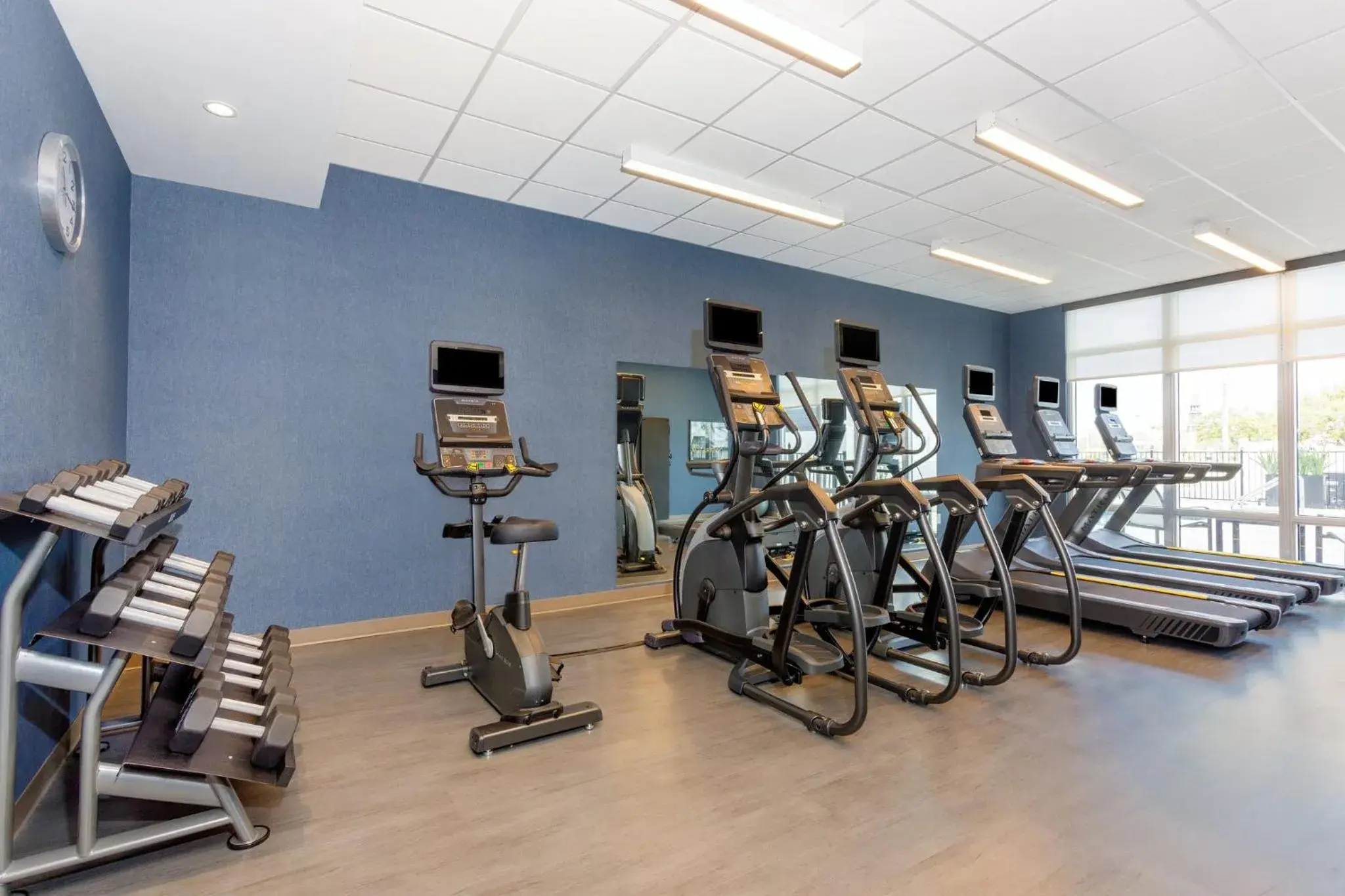 Fitness centre/facilities, Fitness Center/Facilities in Staybridge Suites Winter Haven - Auburndale