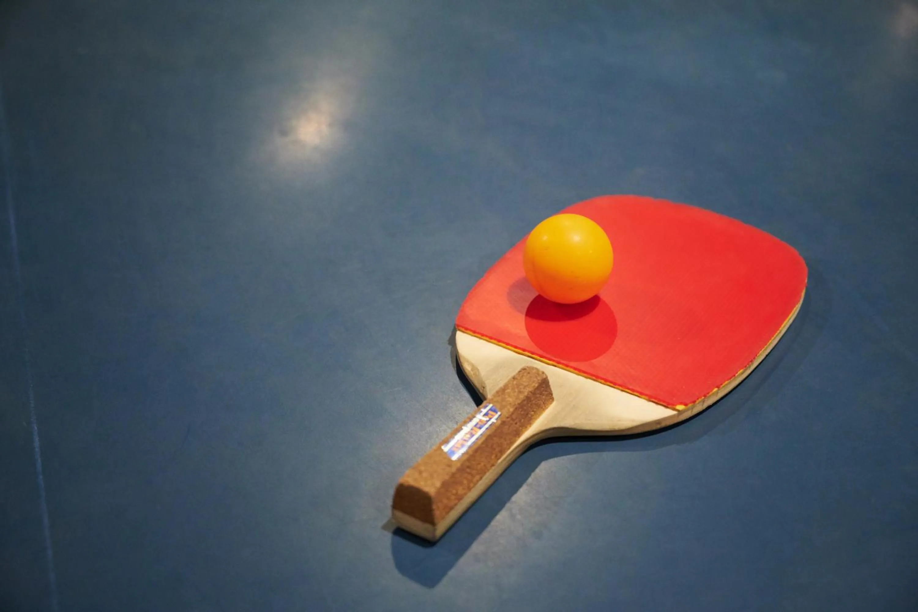 Table tennis in Bali Resort SAYA no Kaze