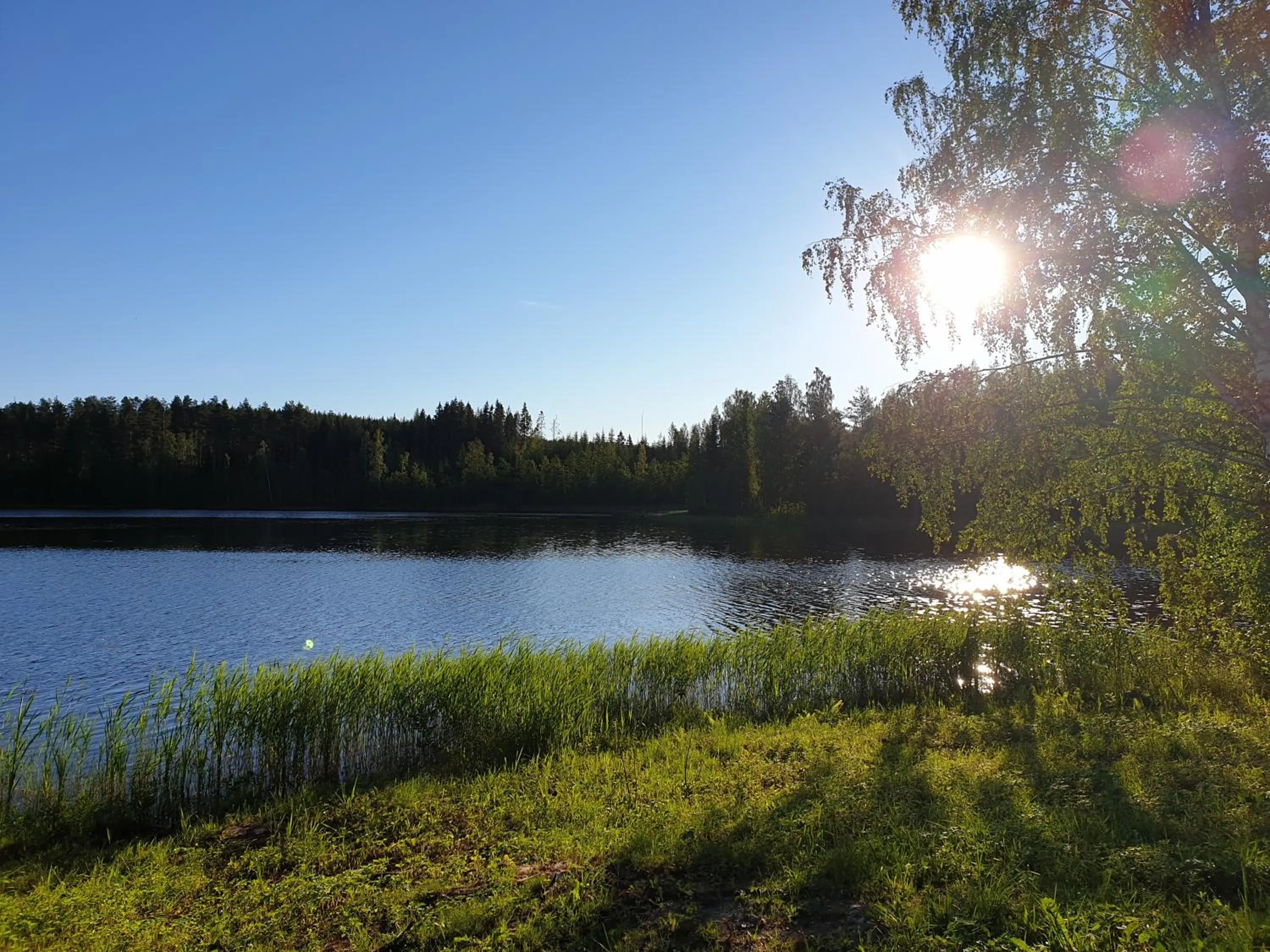 Norppa Resort