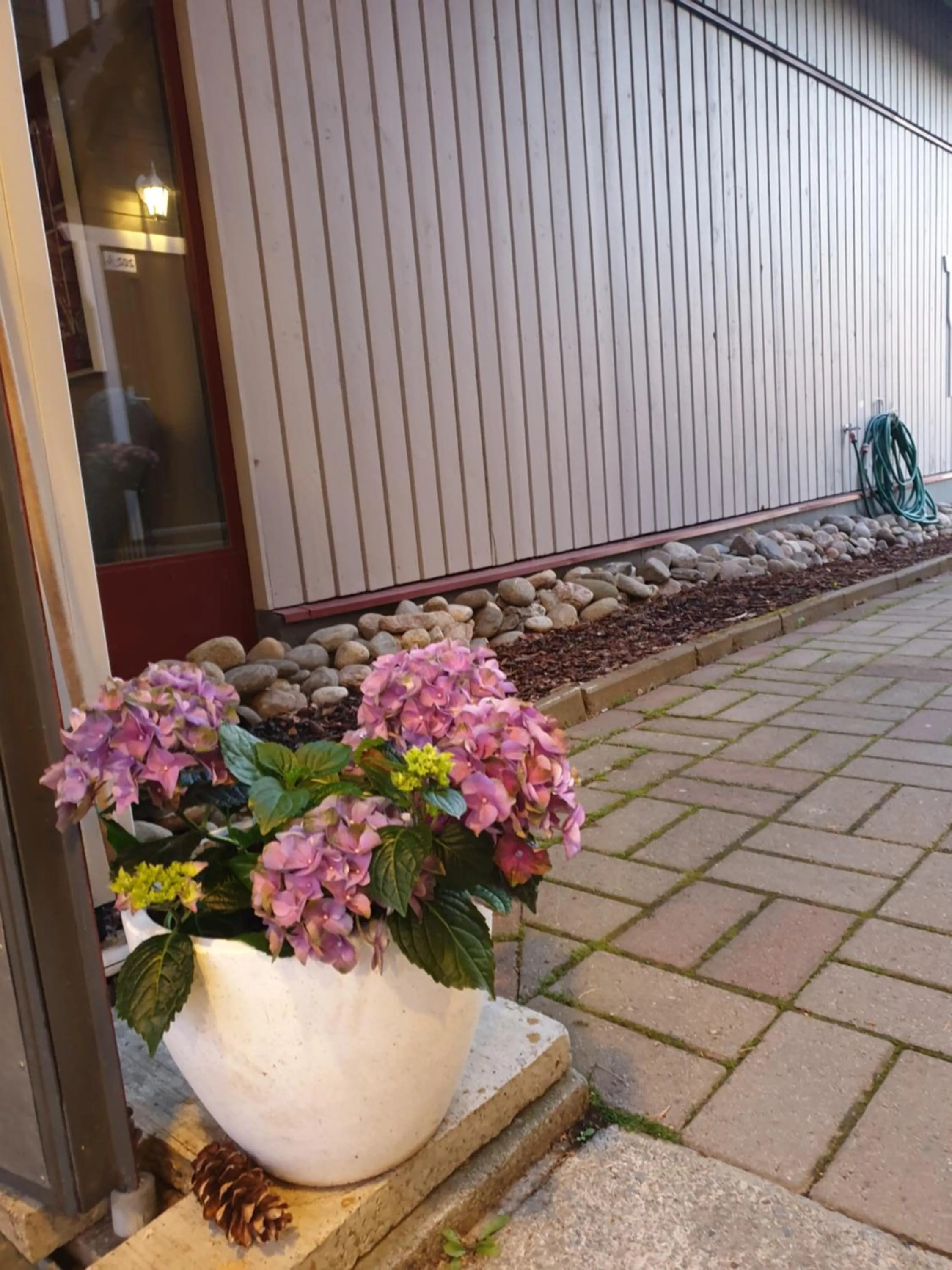 Norppa Resort