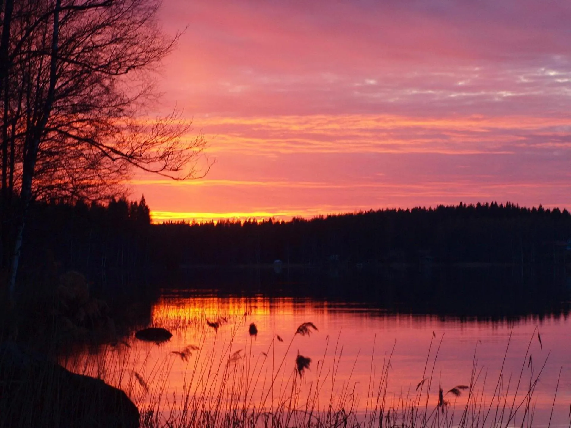 Lake view in Norppa Resort