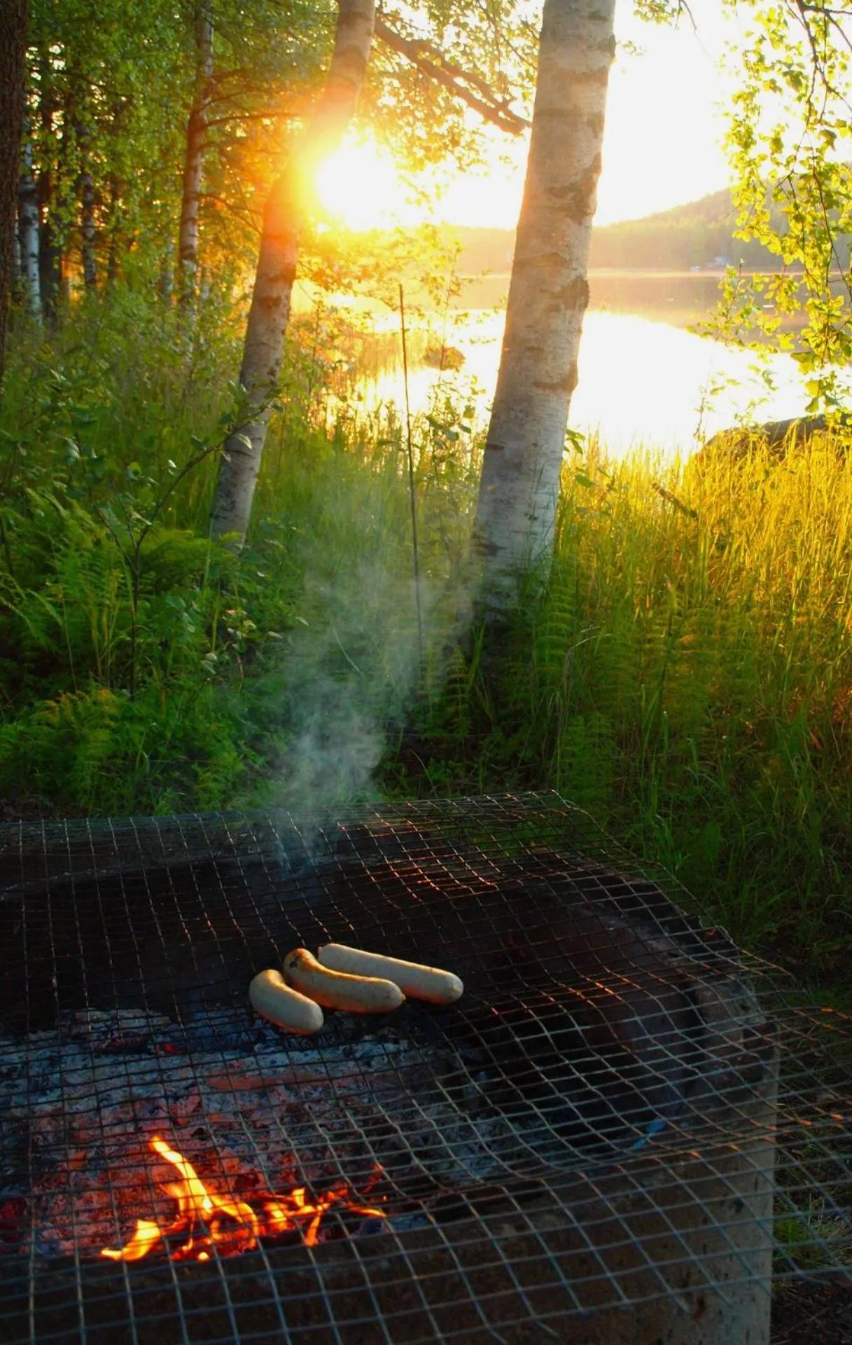 BBQ facilities in Norppa Resort