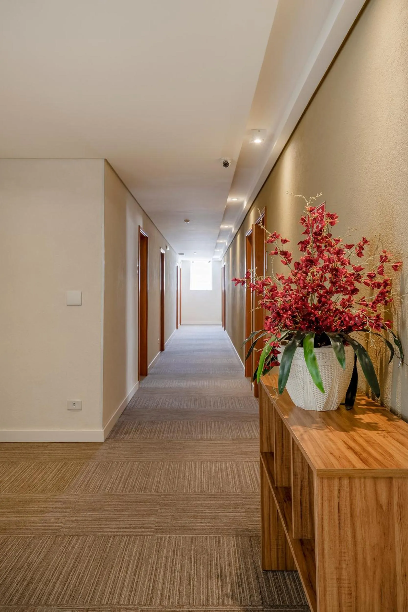 Property building in Hotel Cisne