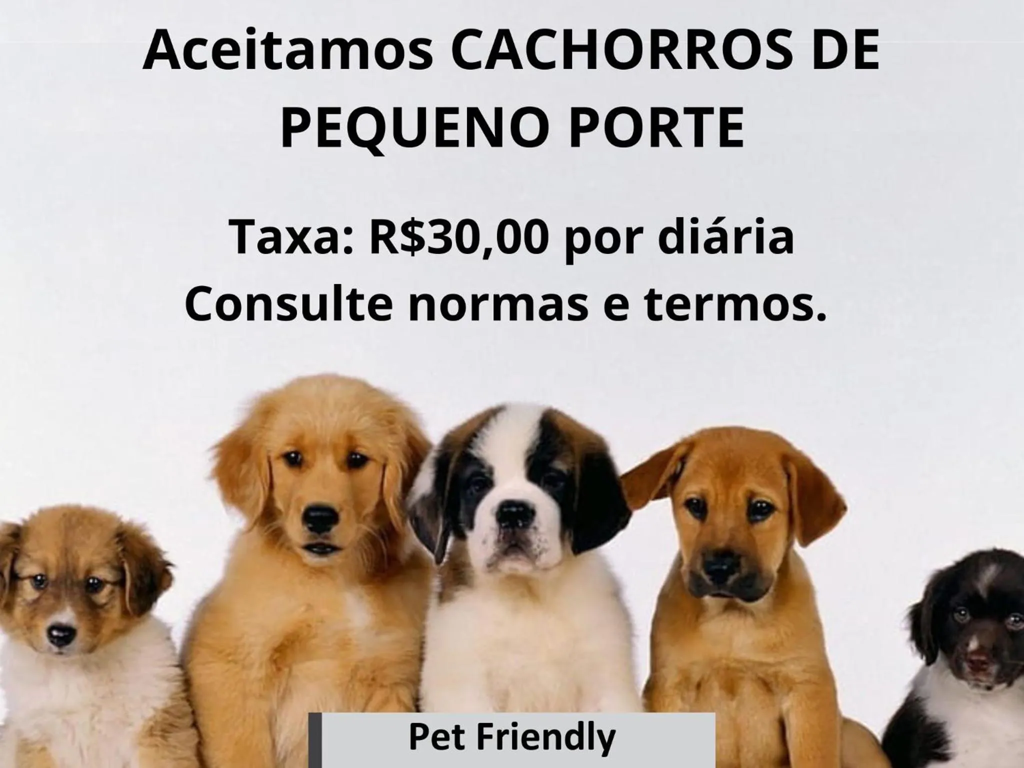 Pets in Hotel e Pousada Areia da Praia