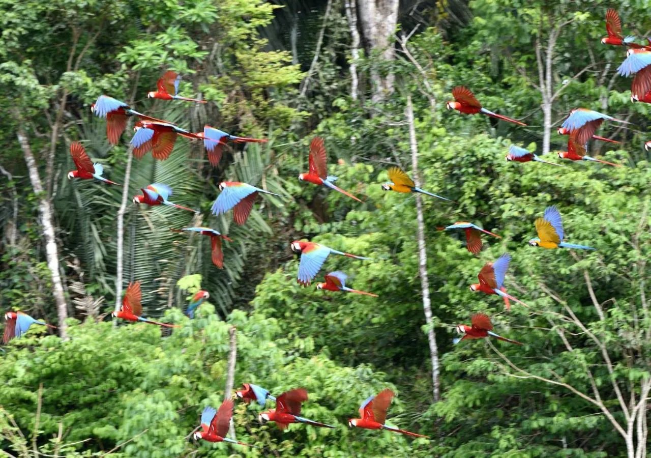Activities in Refugio Amazonas Lodge