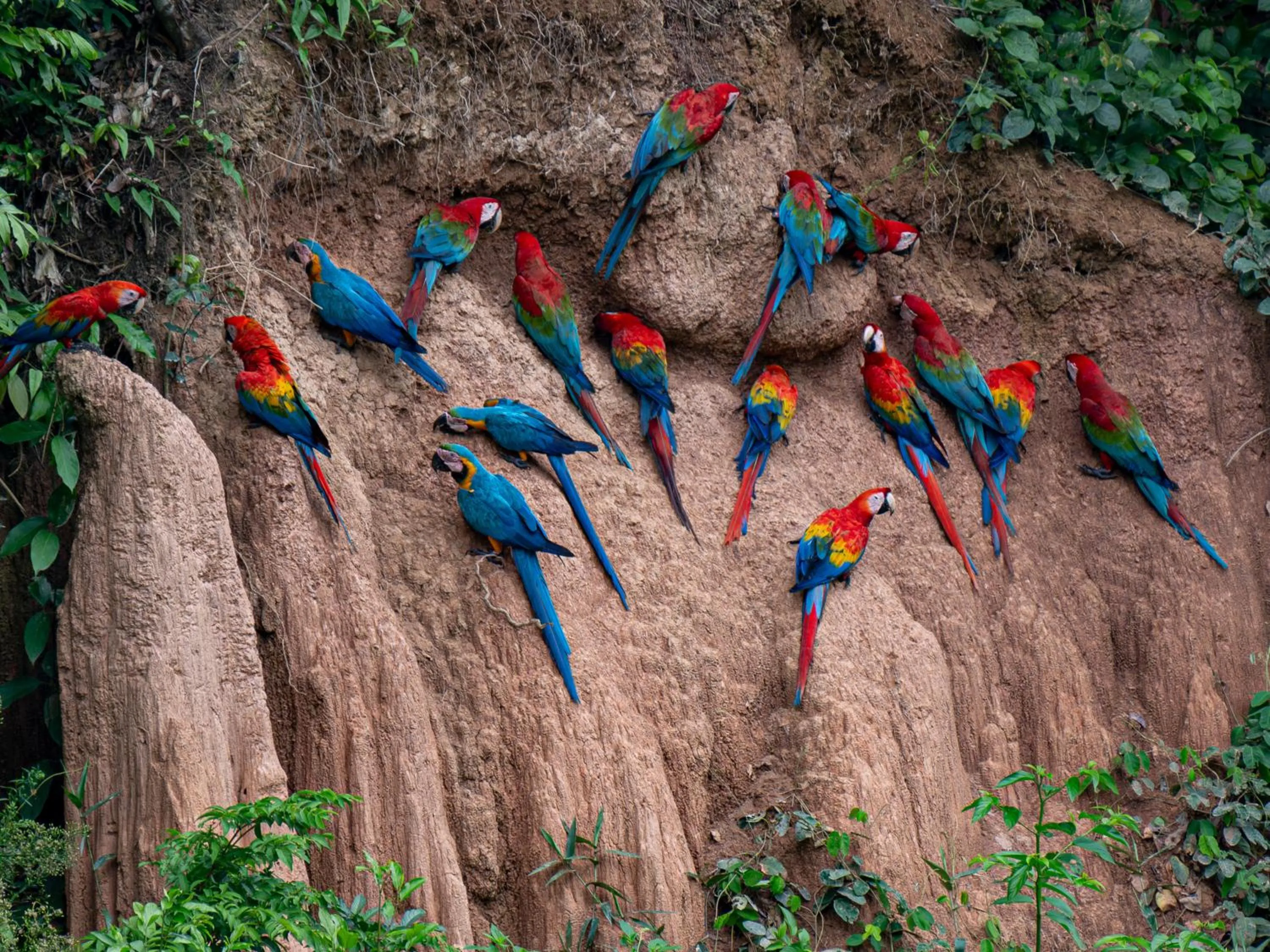 Natural landscape in Refugio Amazonas Lodge