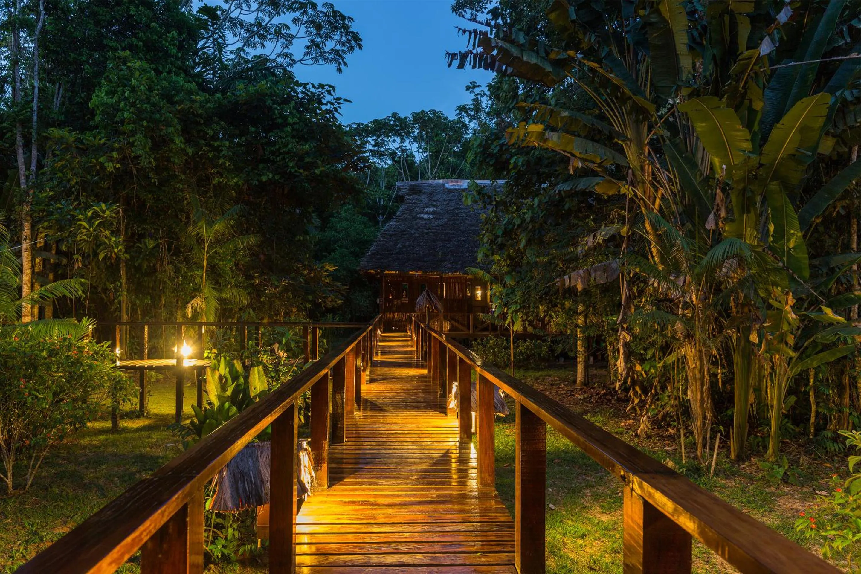 View (from property/room) in Refugio Amazonas Lodge