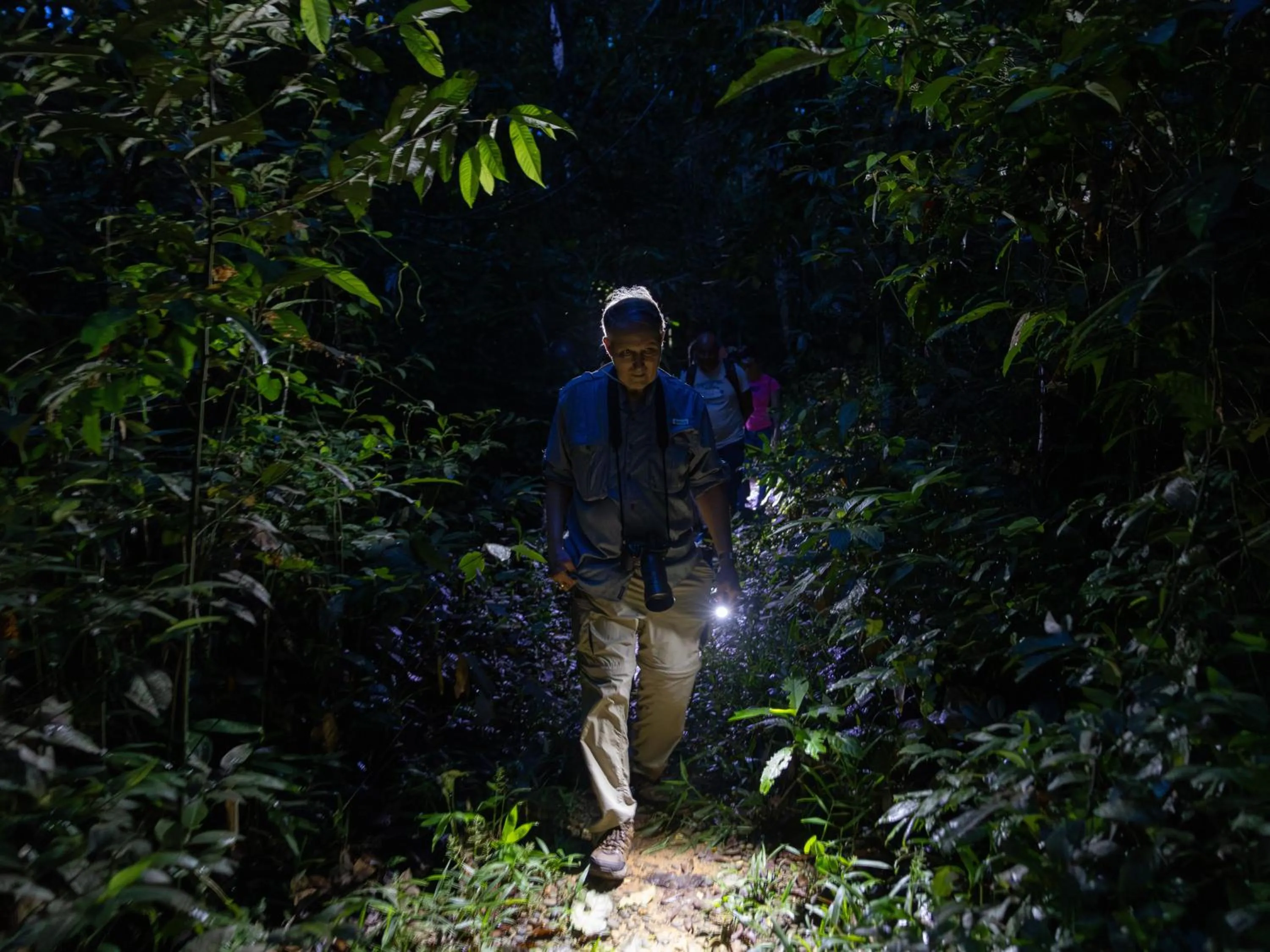 Natural landscape in Refugio Amazonas Lodge