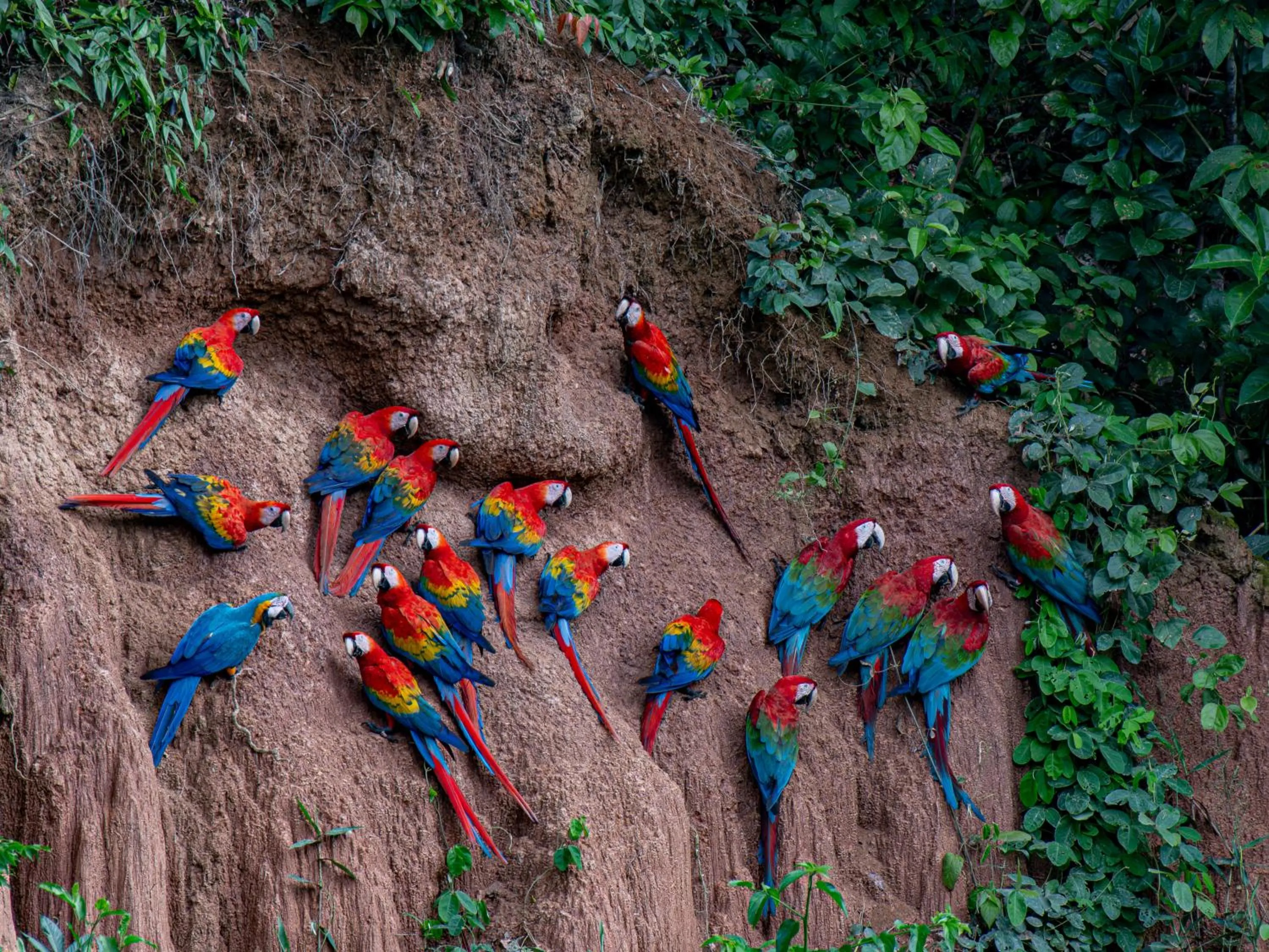 Natural landscape in Refugio Amazonas Lodge