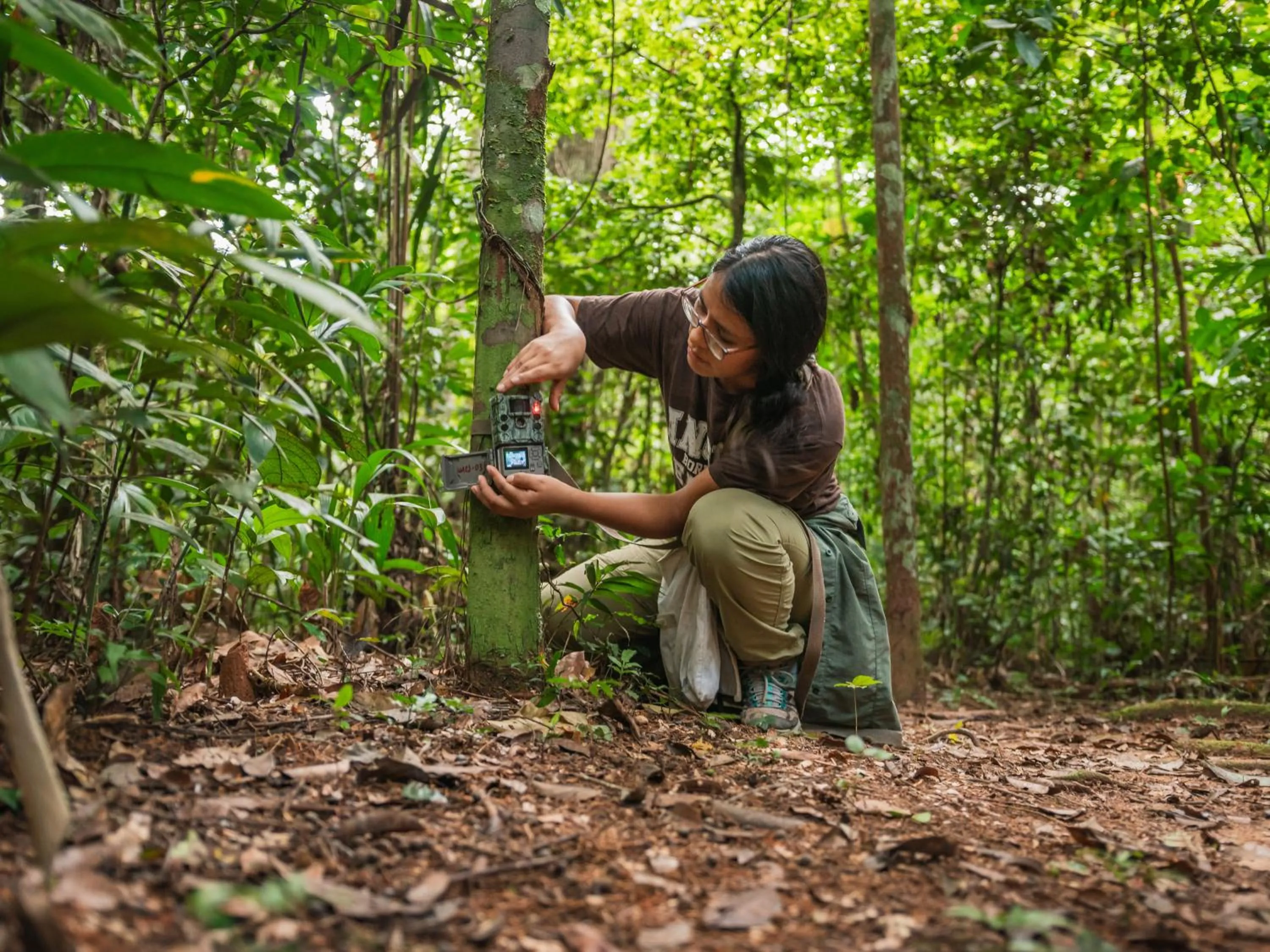 Natural landscape in Refugio Amazonas Lodge
