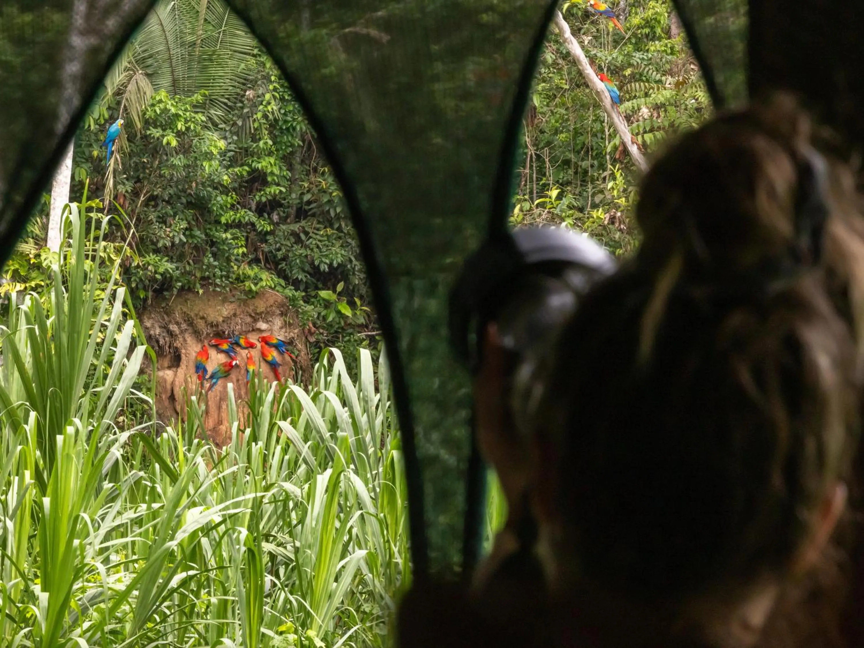 Natural landscape in Refugio Amazonas Lodge