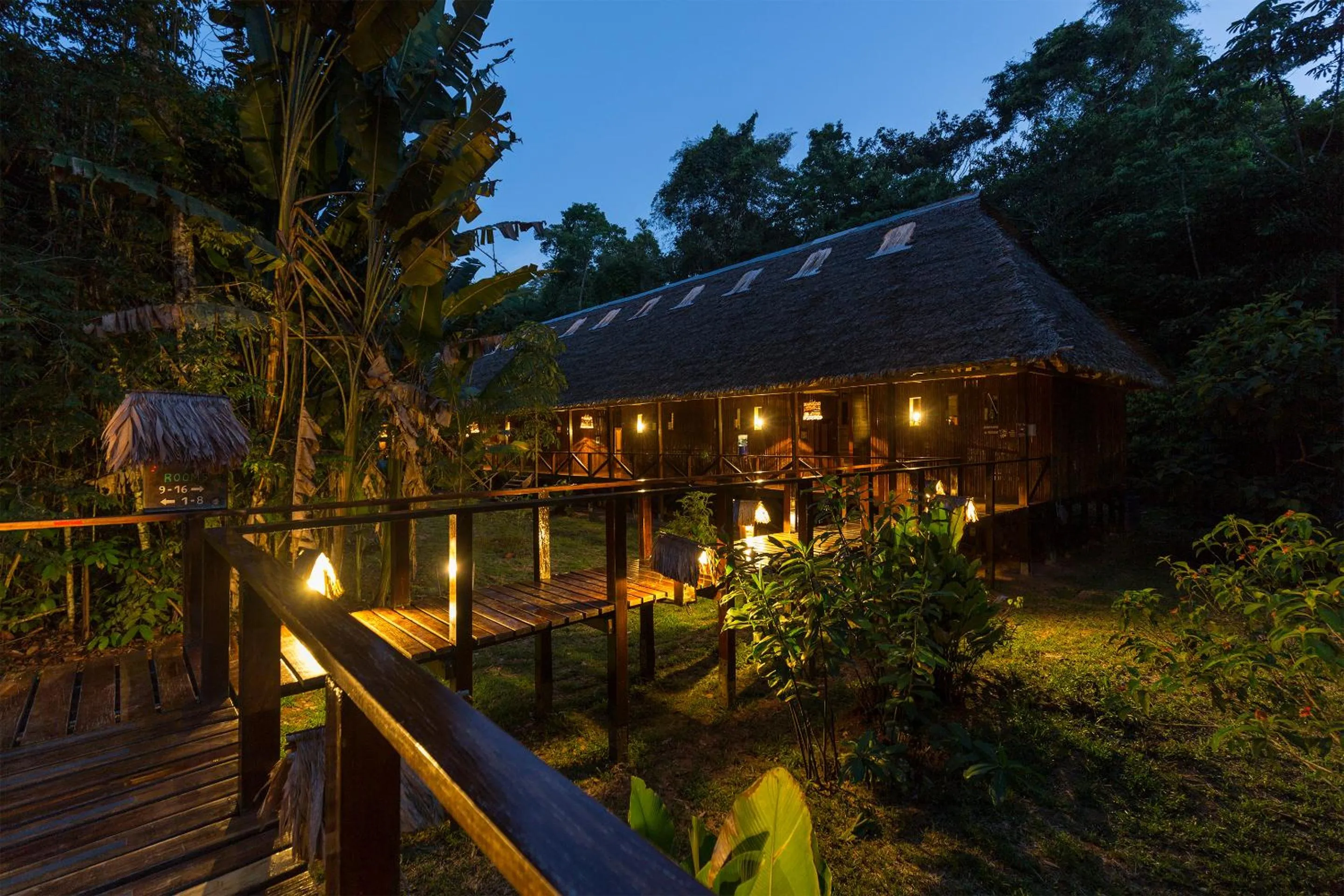 View (from property/room) in Refugio Amazonas Lodge