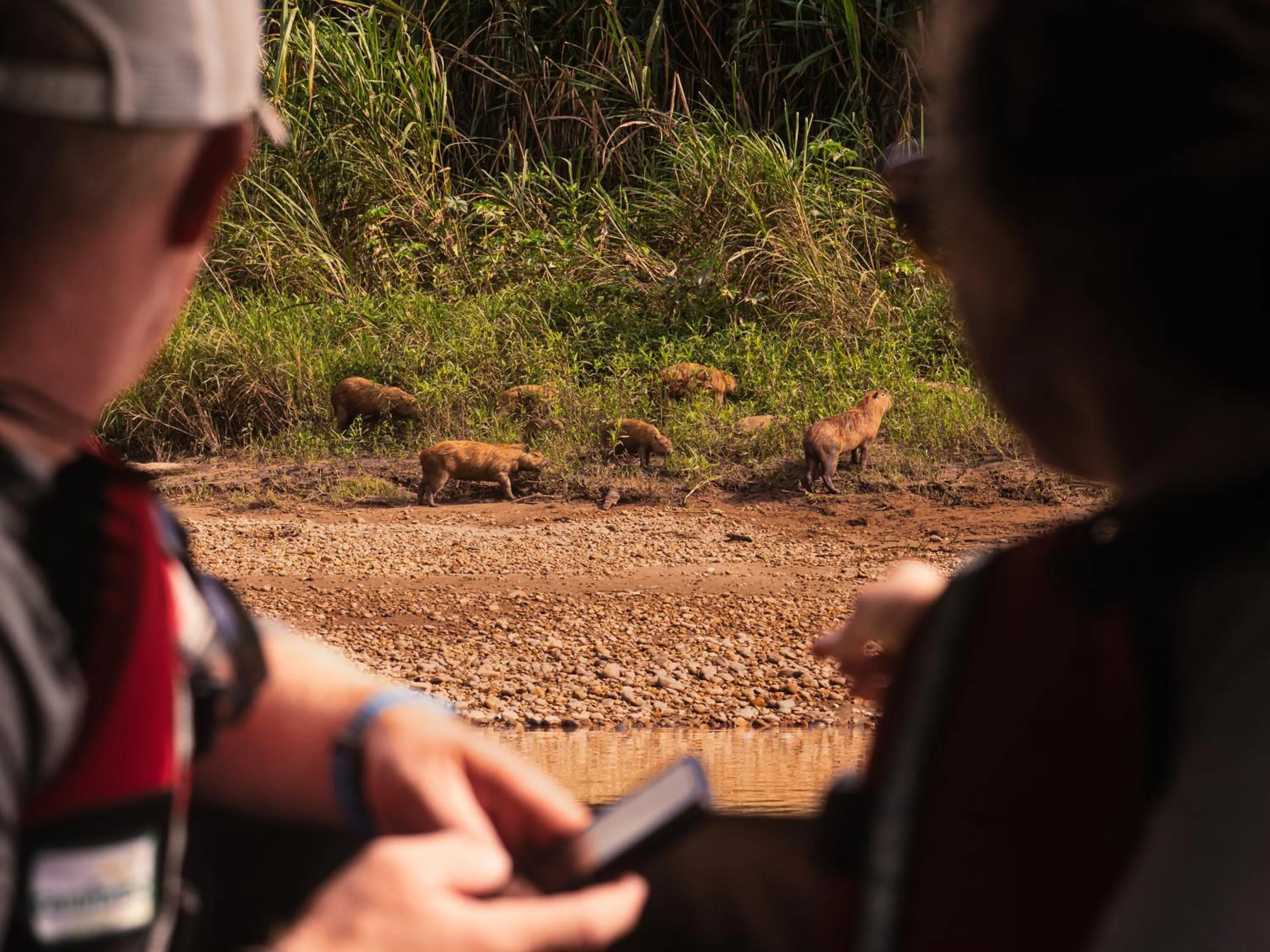 Natural landscape in Refugio Amazonas Lodge