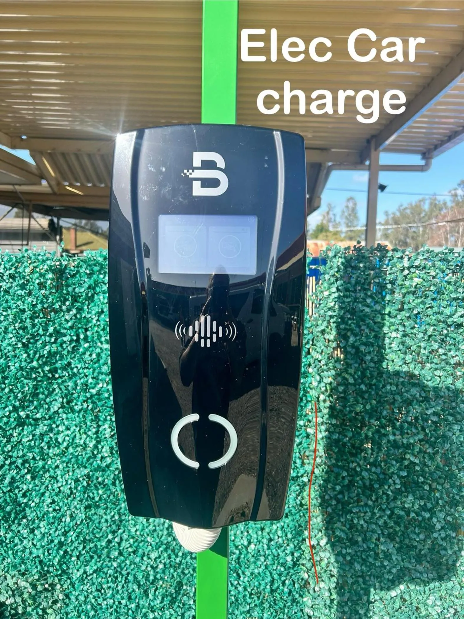 Acacia Rose Motor Inn