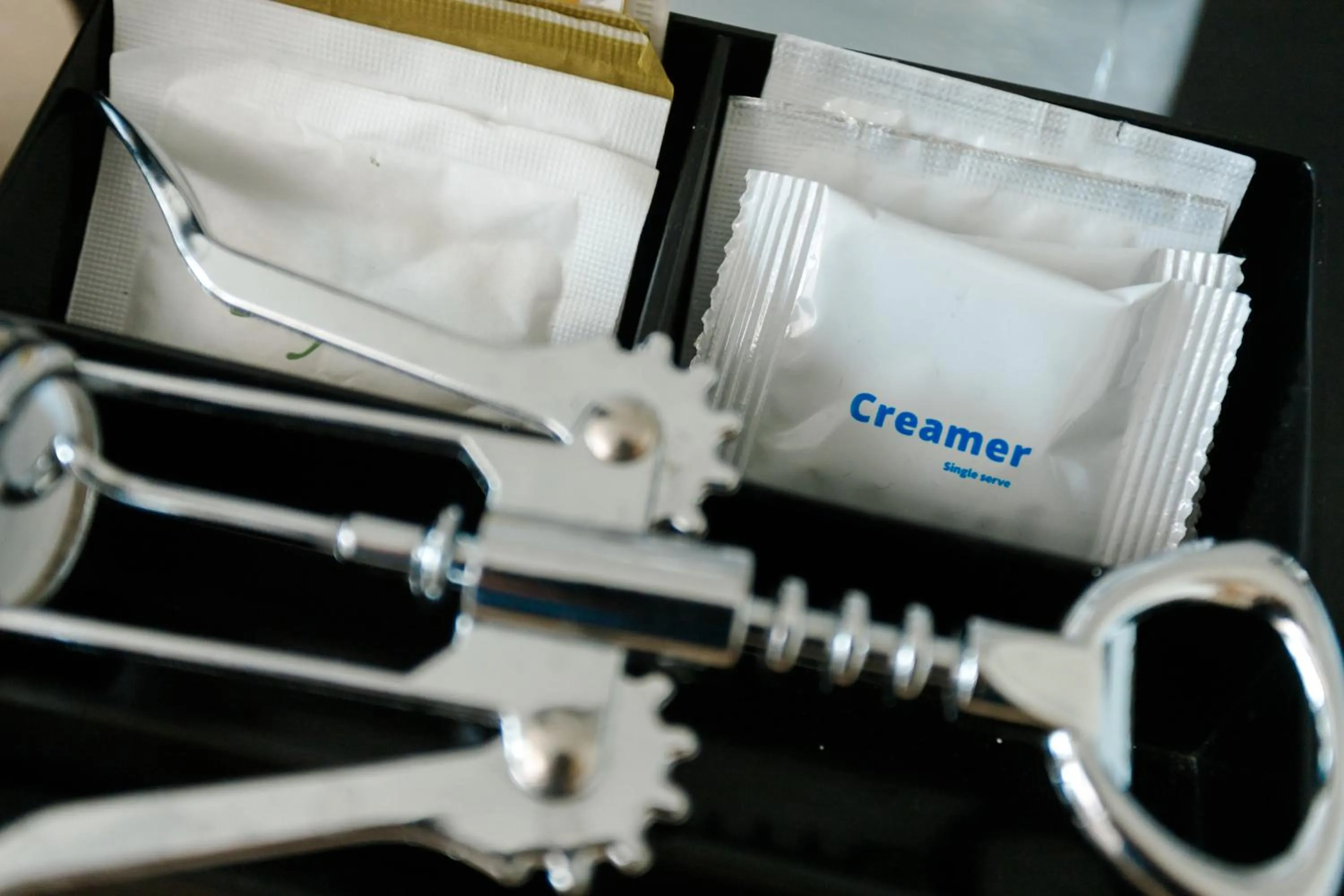 Kitchen or kitchenette in Regency Grand Suites