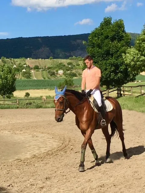 Hétkúti Wellness Hotel