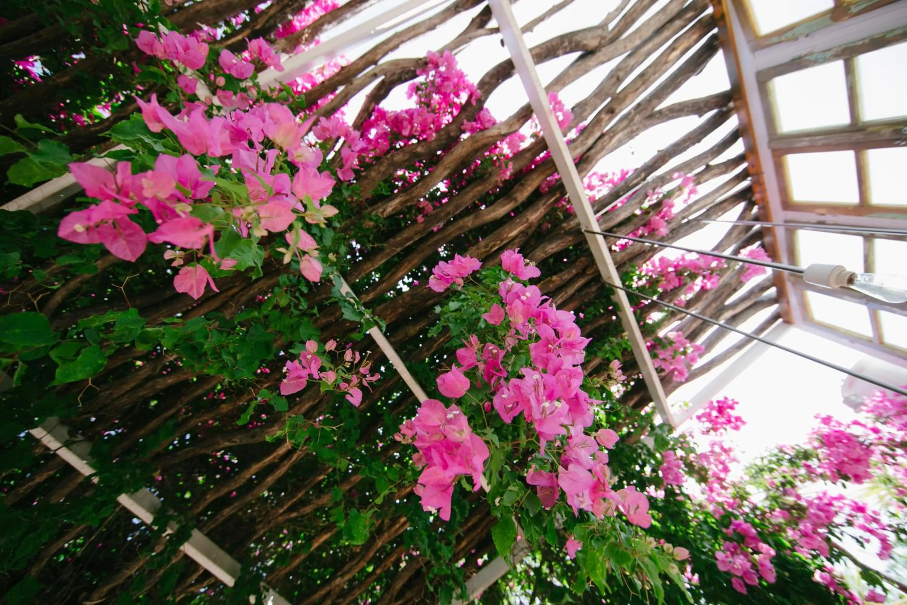 Decorative detail in Gorgona Studios