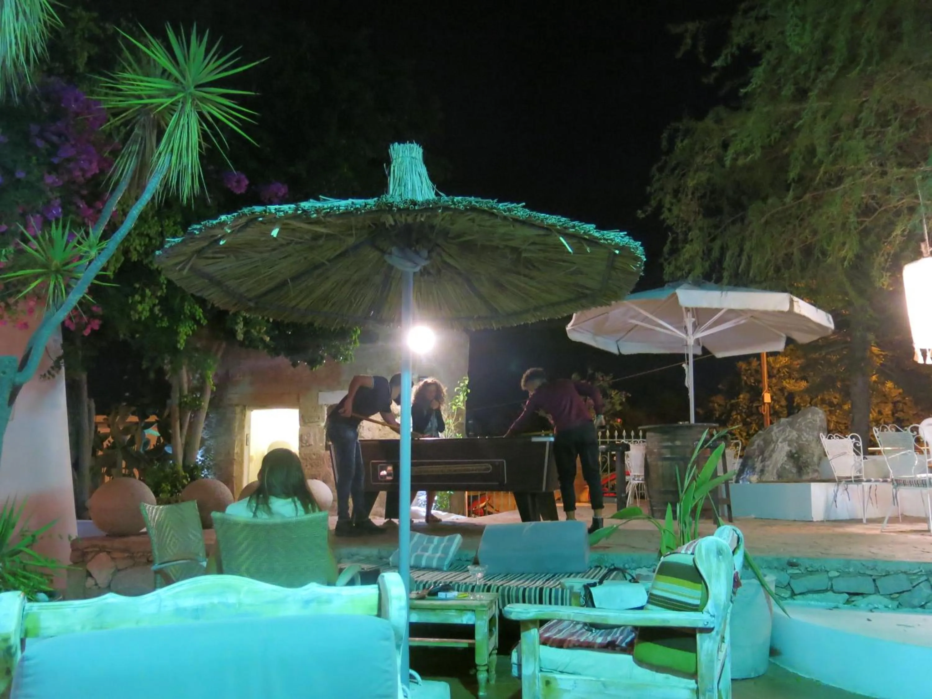 Activities in Gorgona Studios