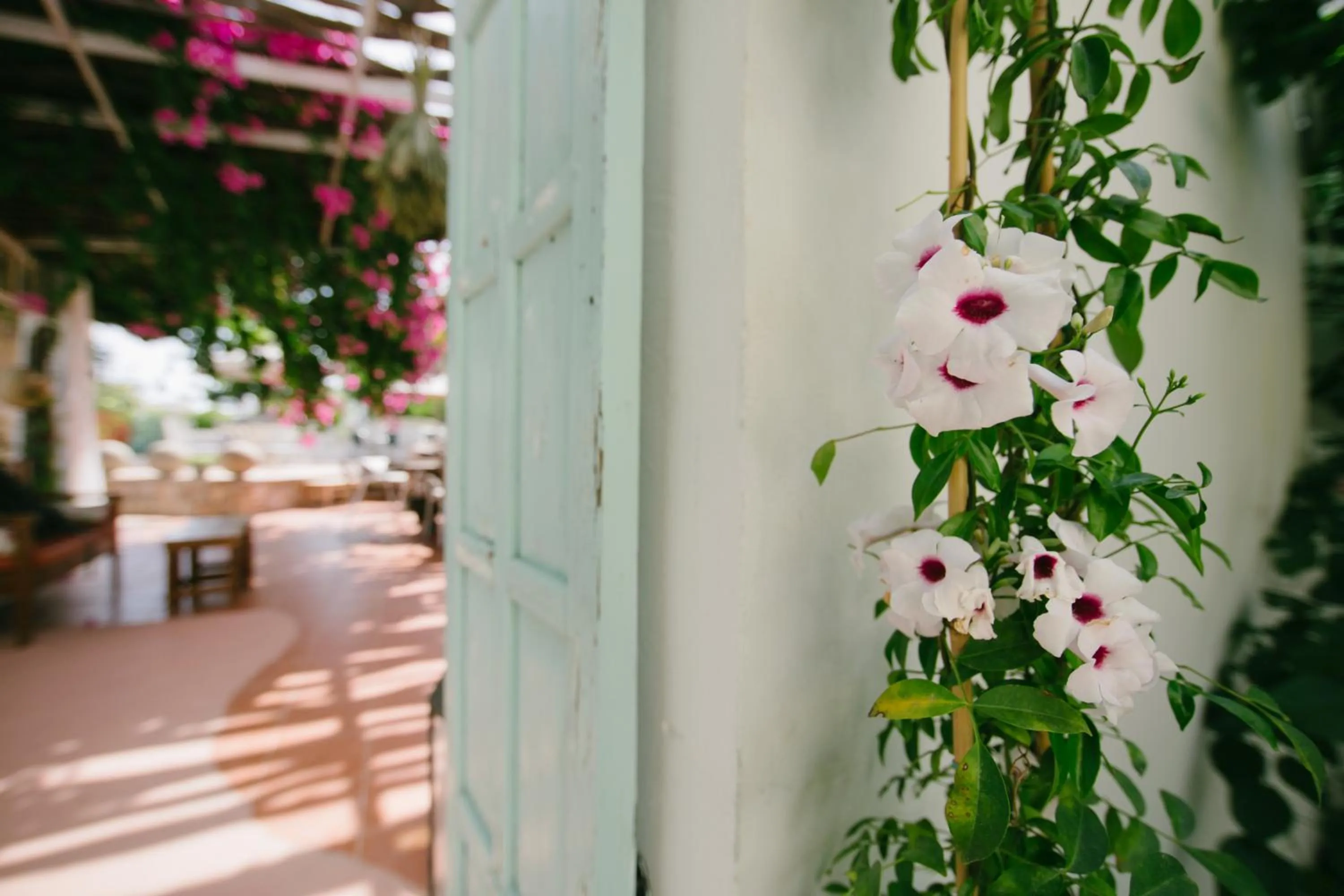 Natural landscape in Gorgona Studios