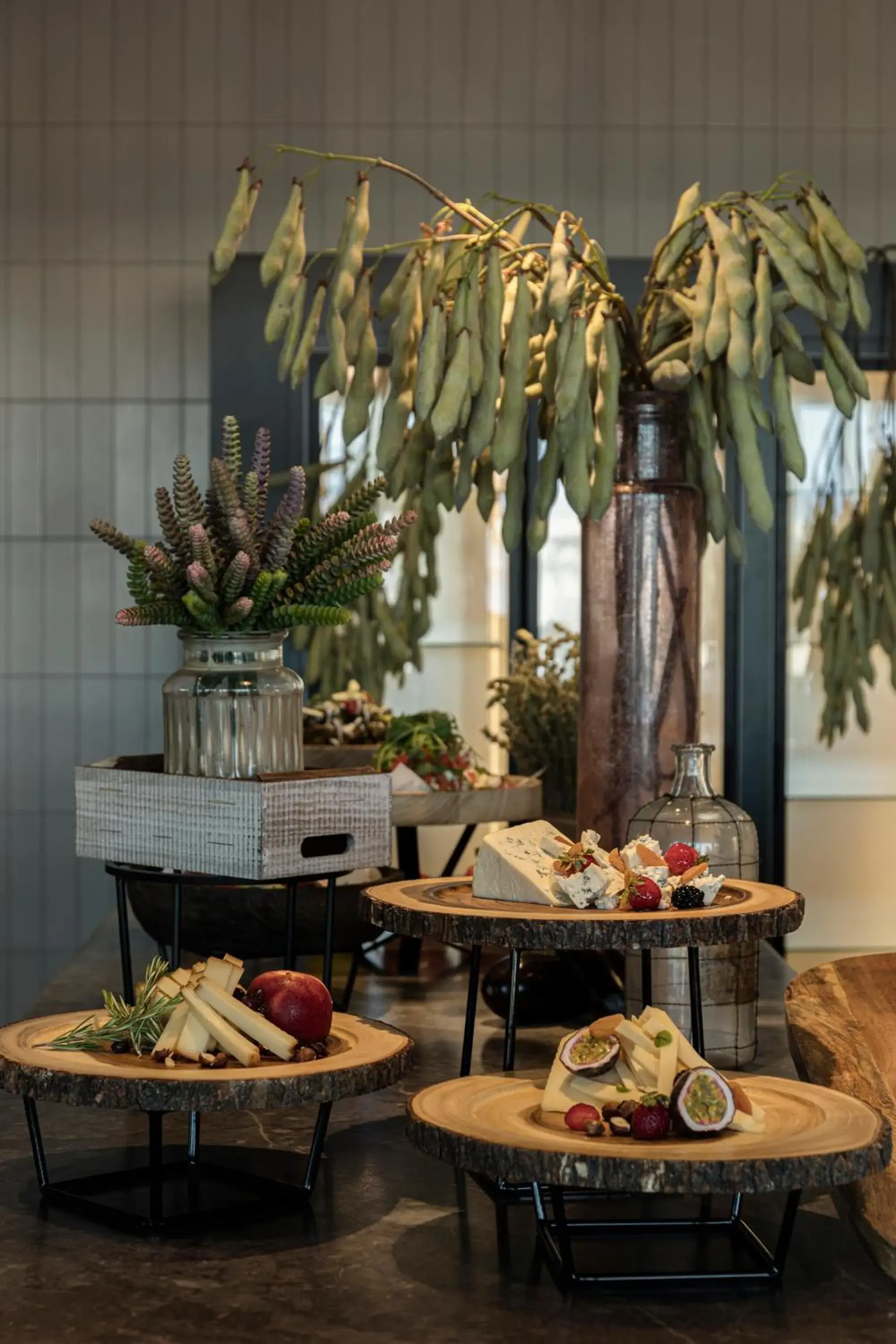 Restaurant/places to eat in King Jason Zante – Designed for Adults Restaurant/places to eat in King Jason Zante – Designed for Adults