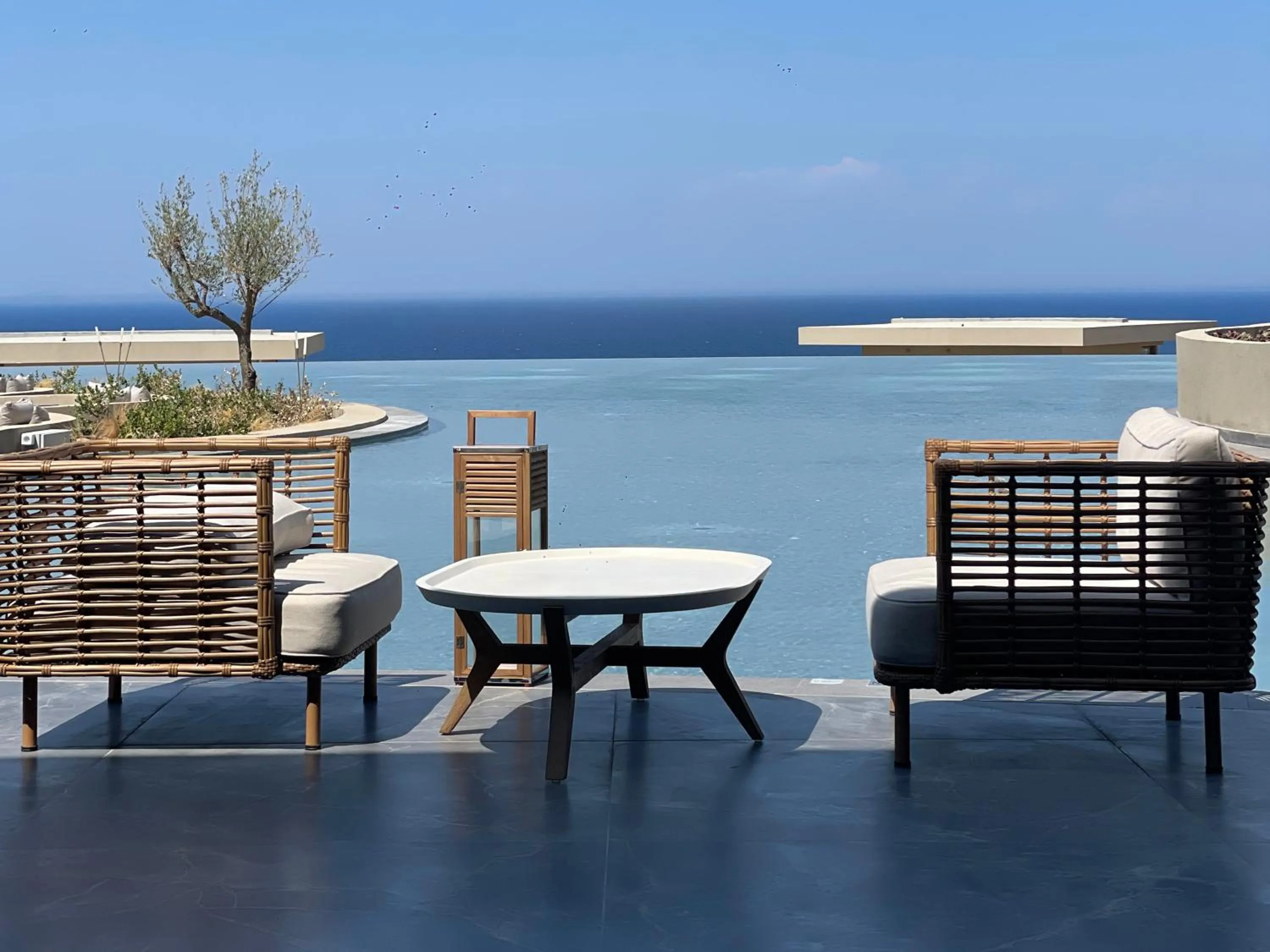 Swimming pool in King Jason Zante – Designed for Adults