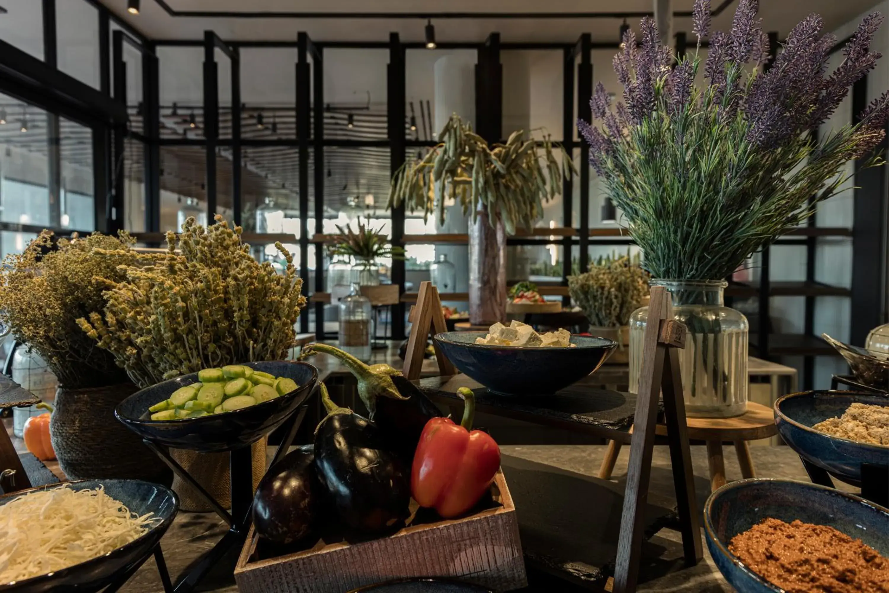 Restaurant/places to eat in King Jason Zante – Designed for Adults Restaurant/places to eat in King Jason Zante – Designed for Adults