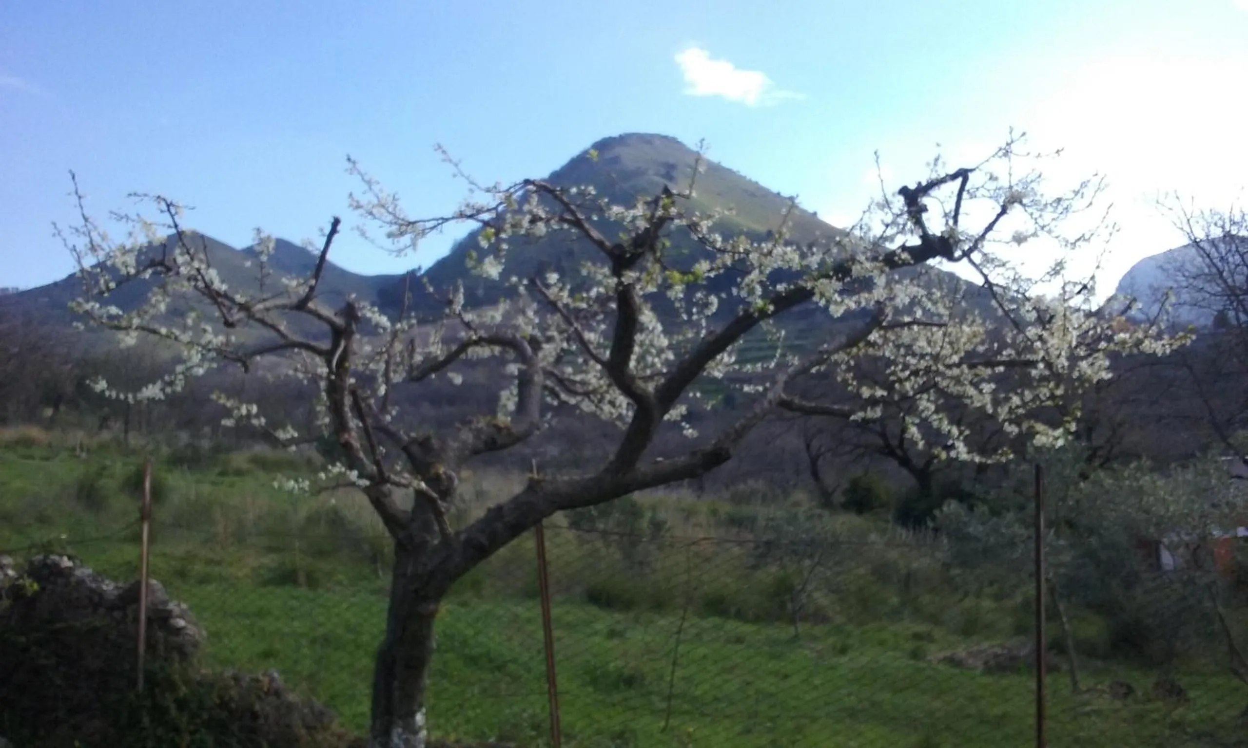 Garden in Il Giardino di Julia B&B