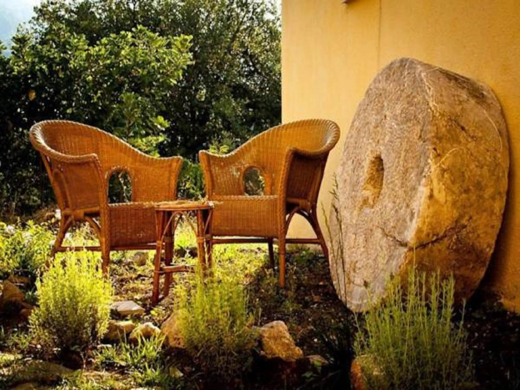 Garden in Il Giardino di Julia B&B