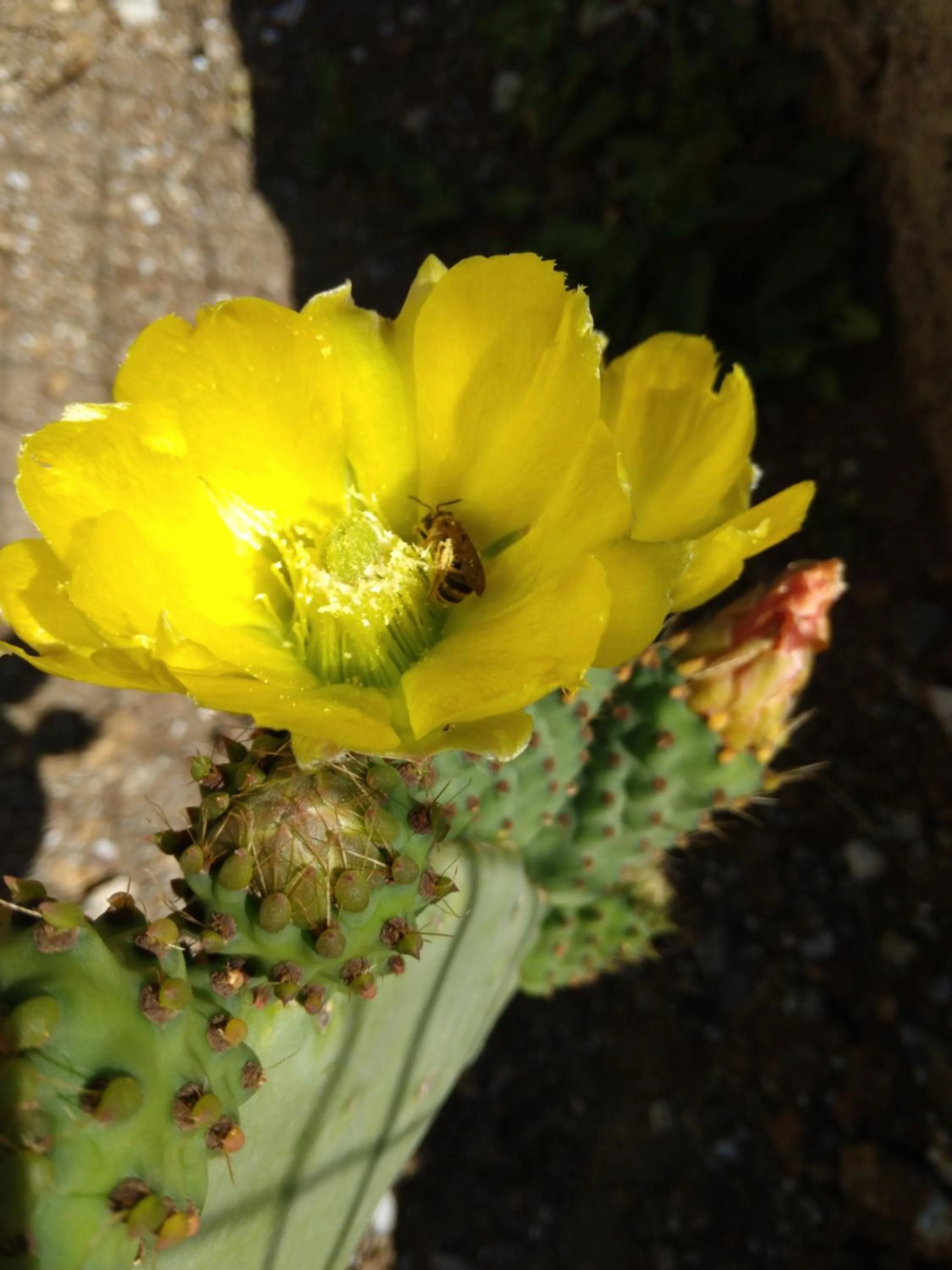 Day in Il Giardino di Julia B&B