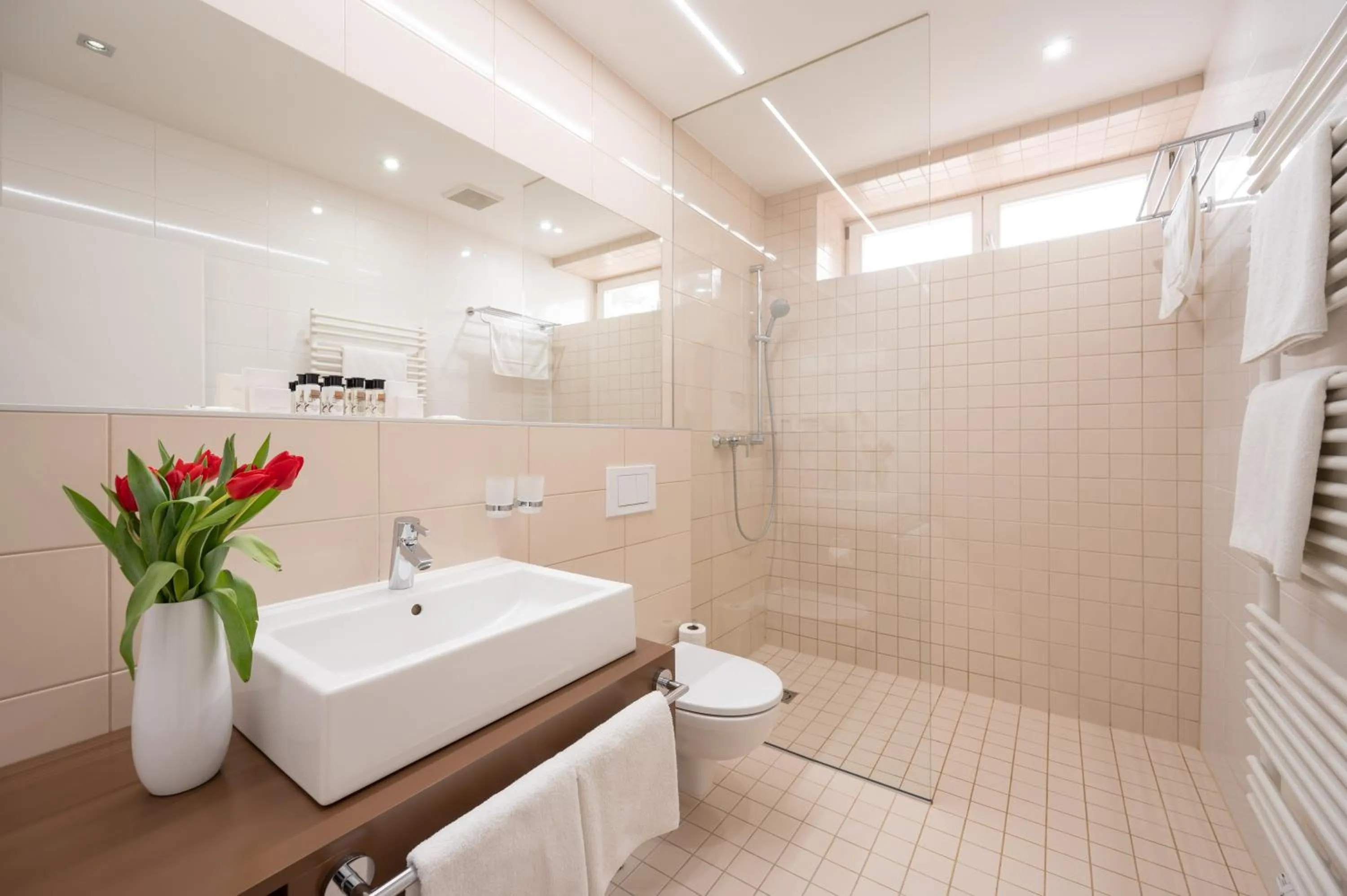 Hotel Vila Viola