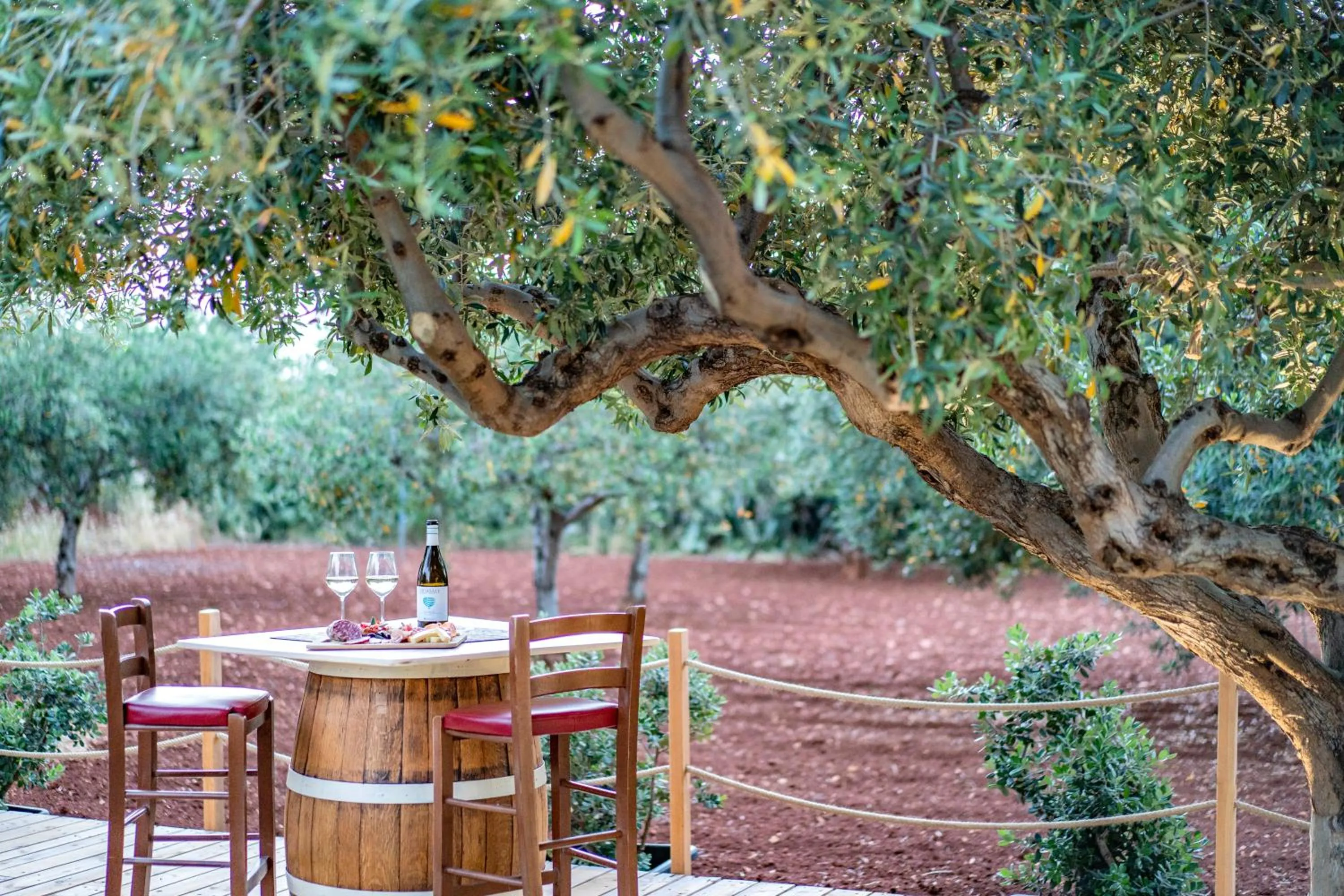 Patio in B&B Pietre Preziose
