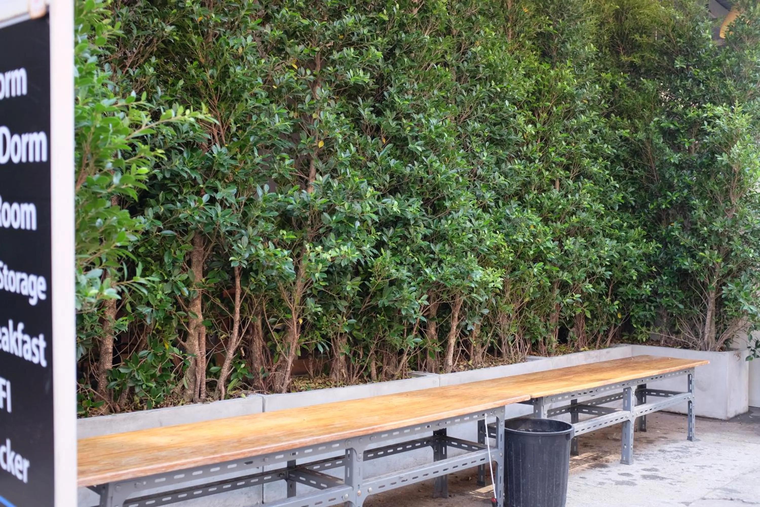 Garden in PLOY Hostel