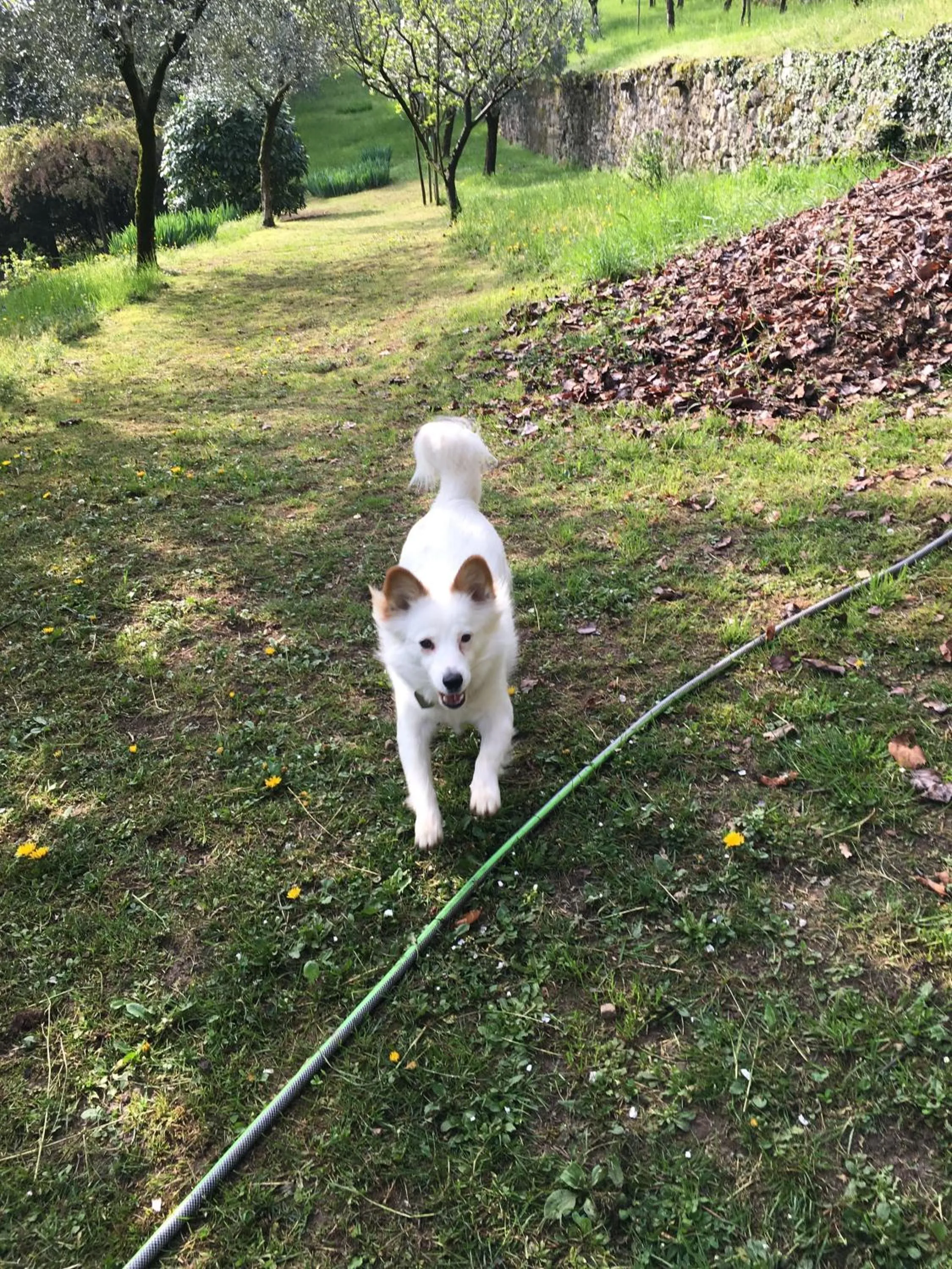 On site in Villa Angelica