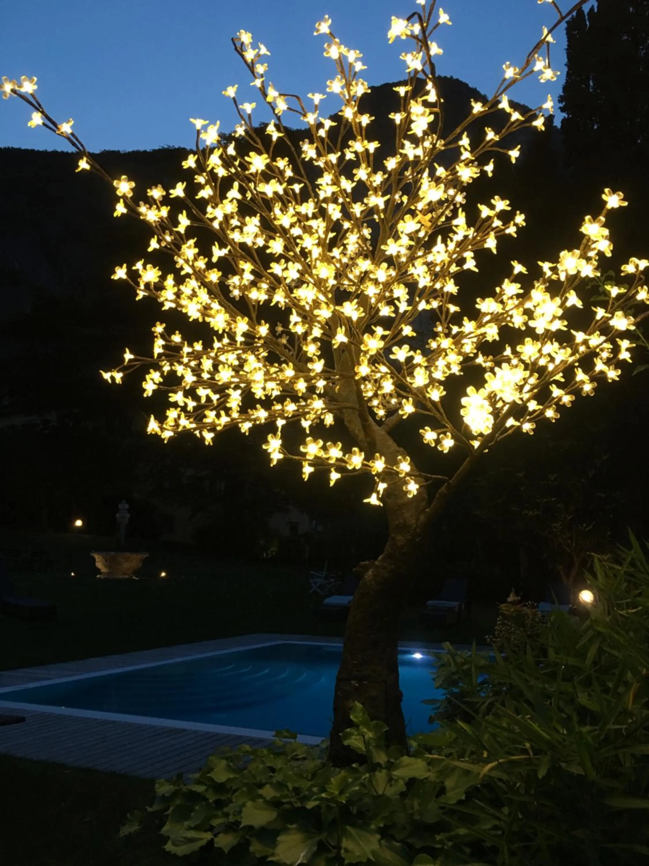 Other in Villa Angelica