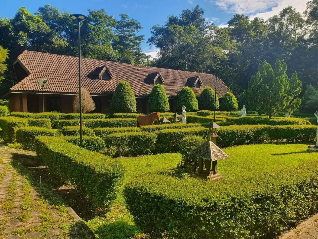 Terrace Garden View Double Bed in Kirirom Hillside Resort Terrace Garden View Double Bed in Kirirom Hillside Resort