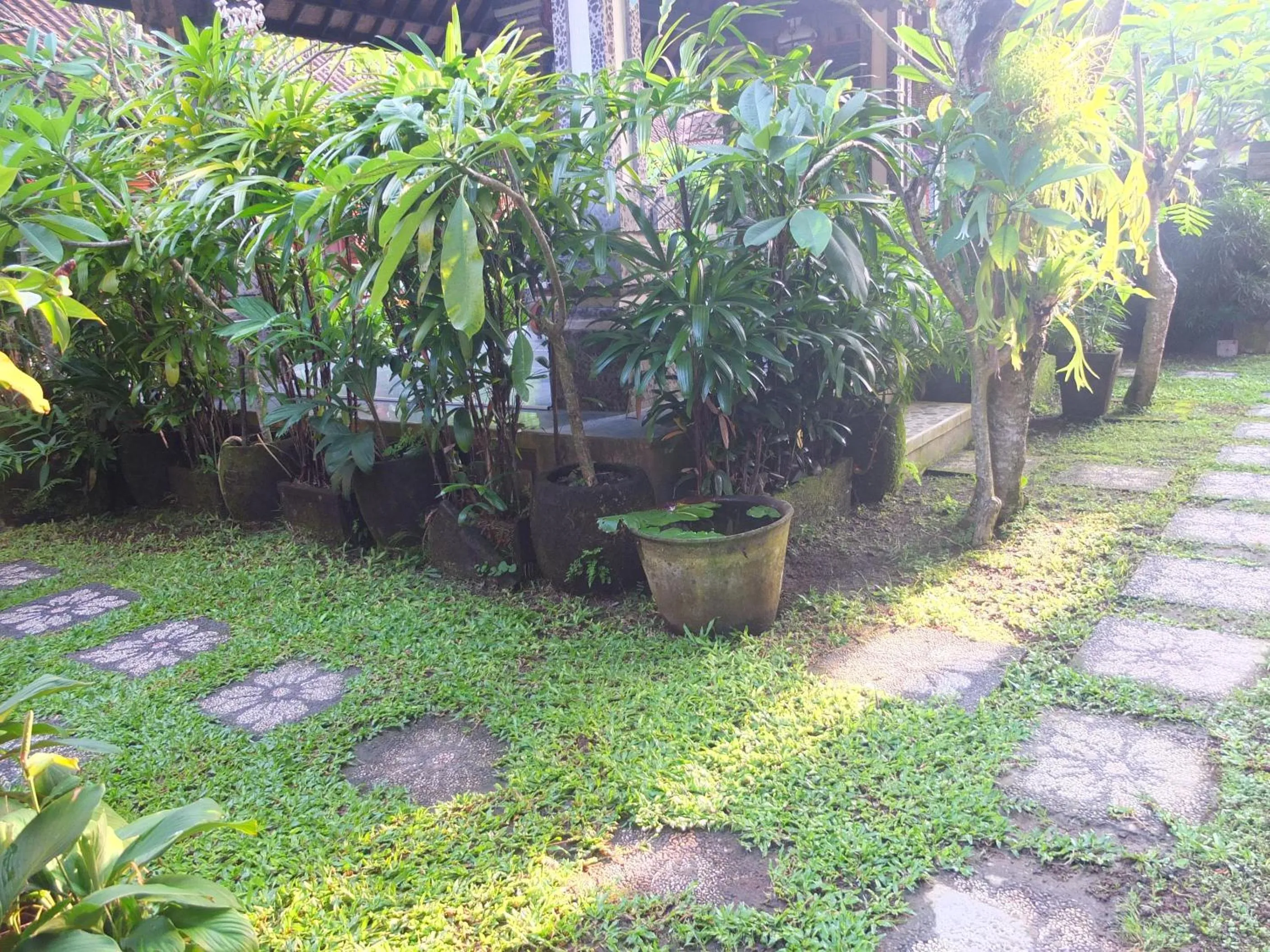 Garden in Ojek's Homestay