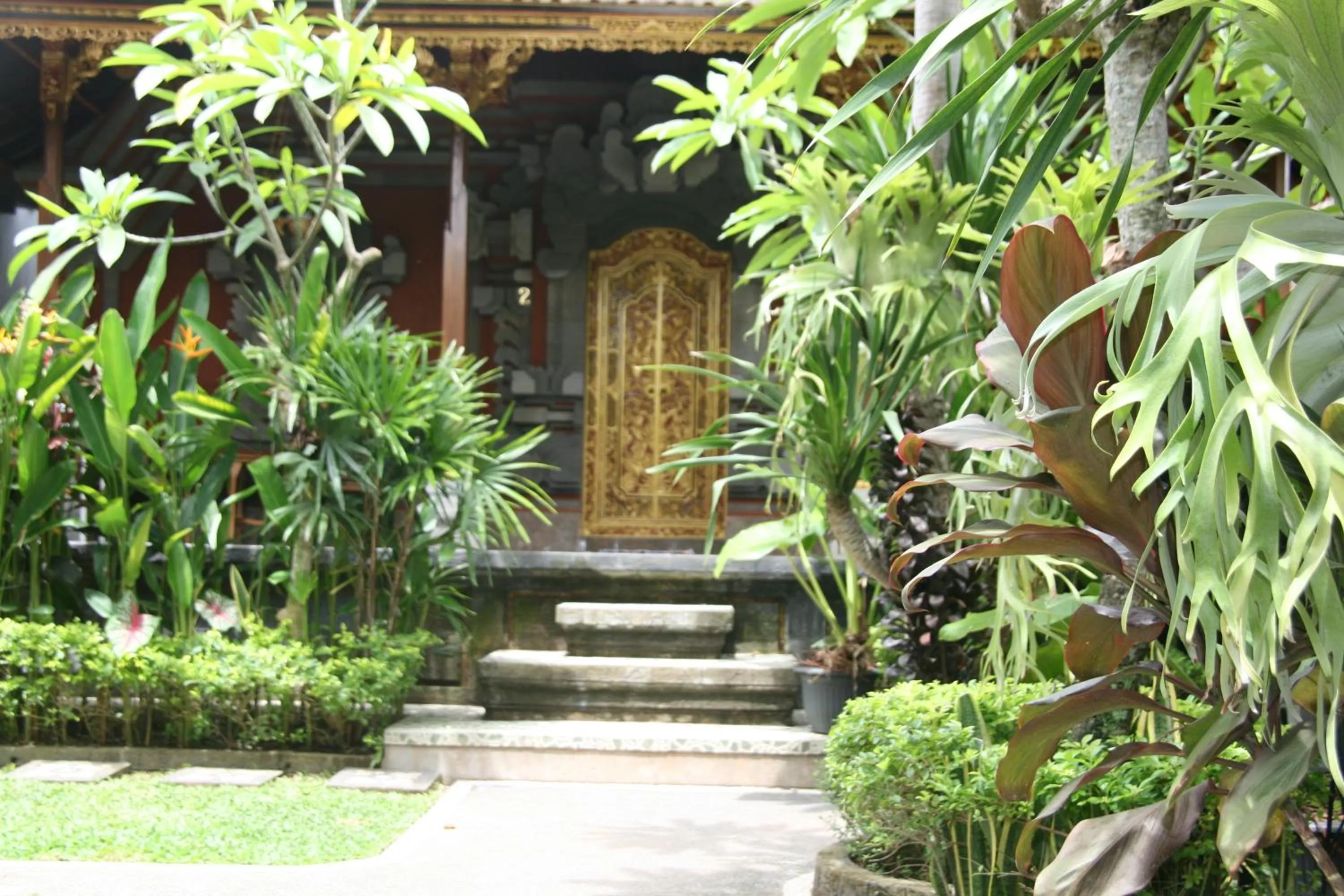 Garden in Ojek's Homestay