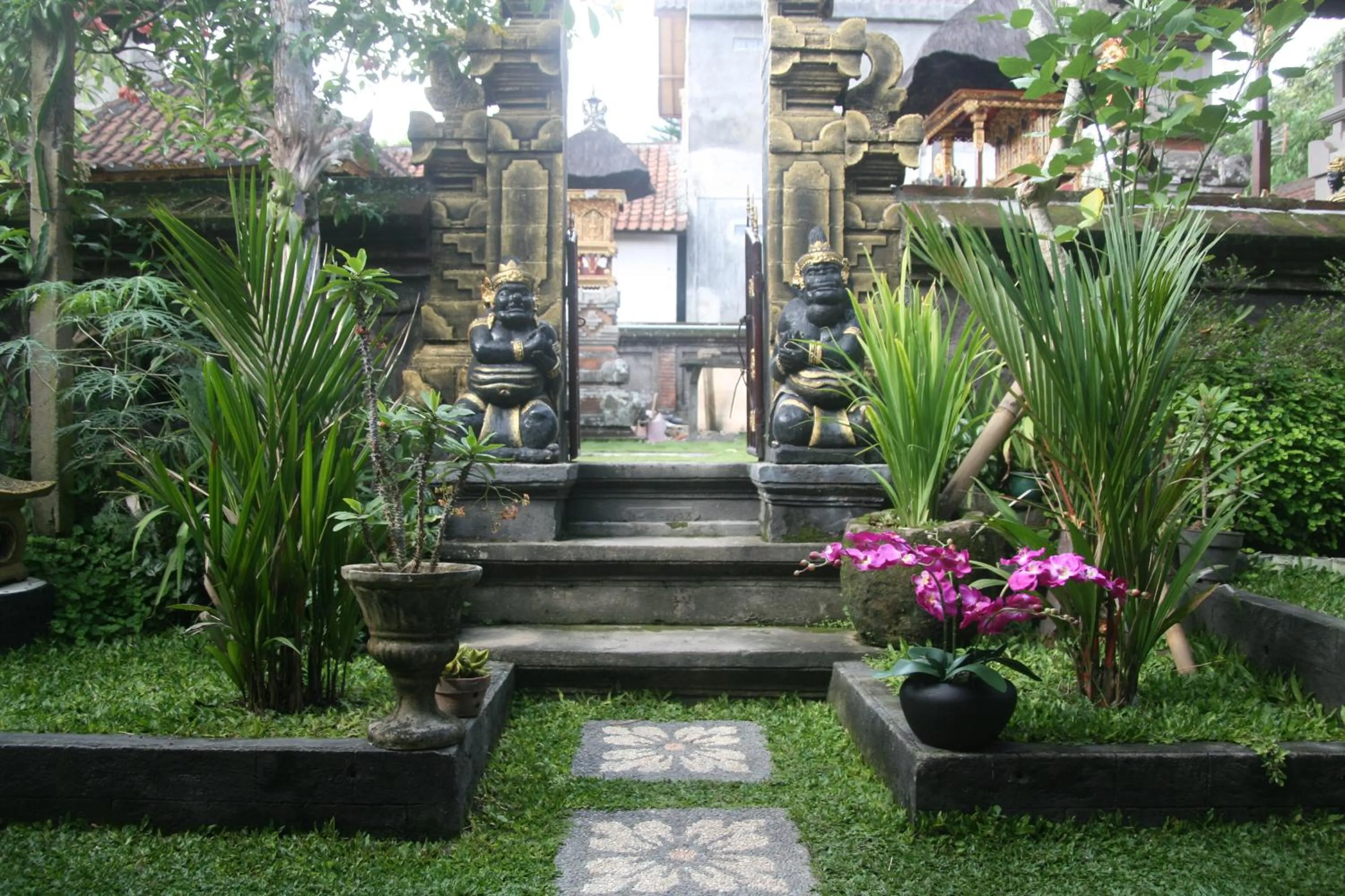 Garden in Ojek's Homestay
