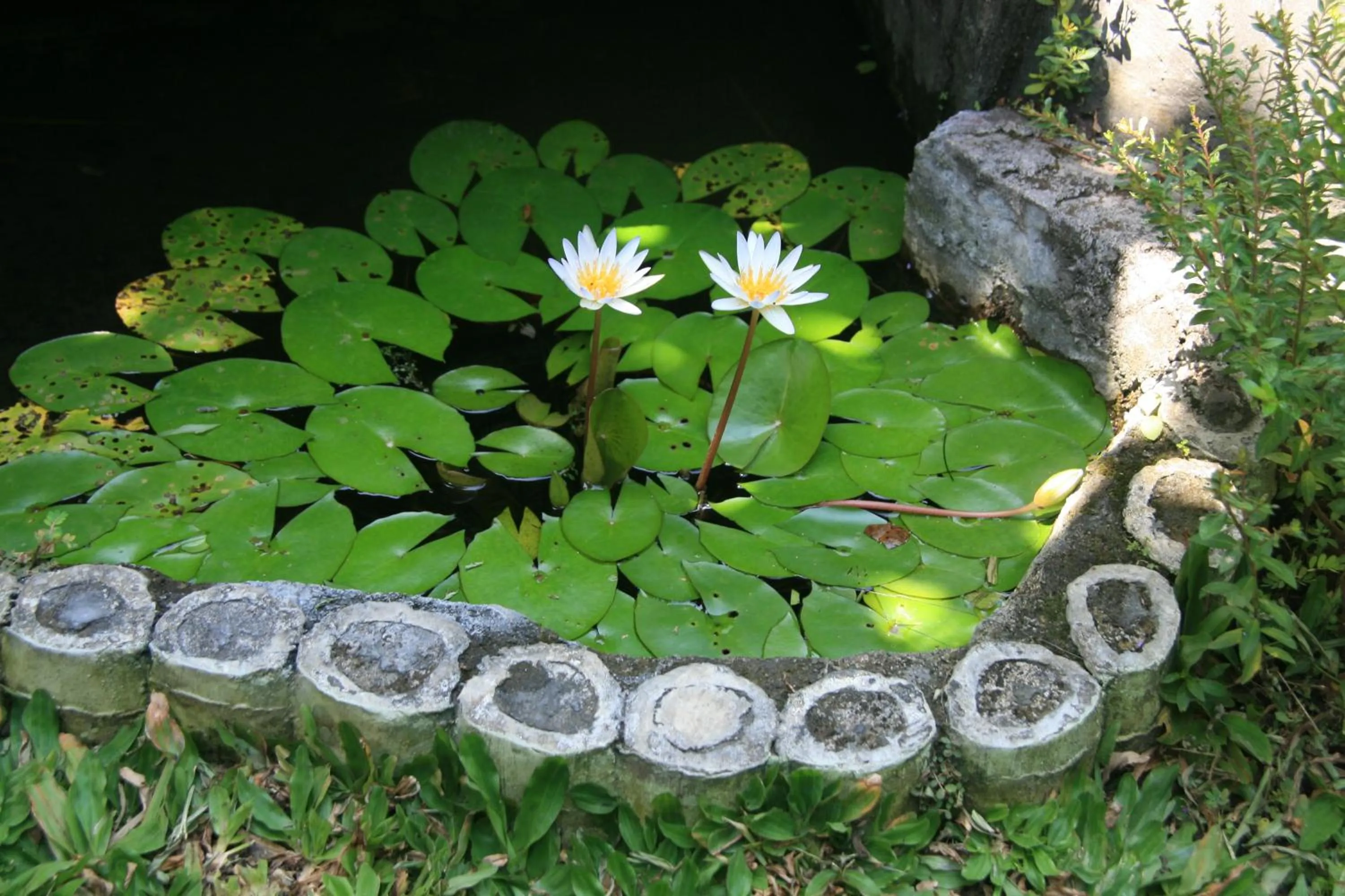 Other in Ojek's Homestay