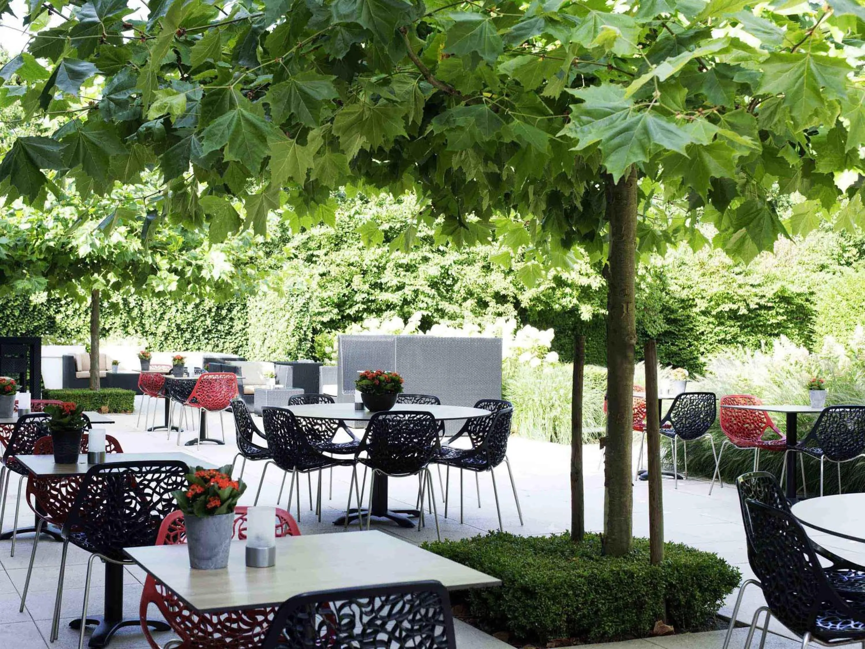 Restaurant/places to eat in Novotel Rotterdam - Schiedam