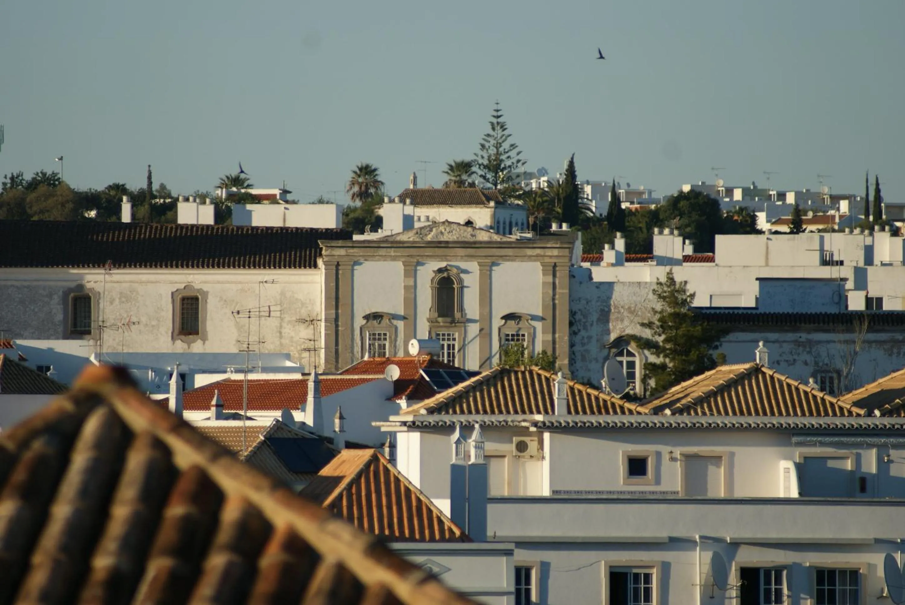 Area and facilities in Casas da Formosa - Downtown Alegria B&B