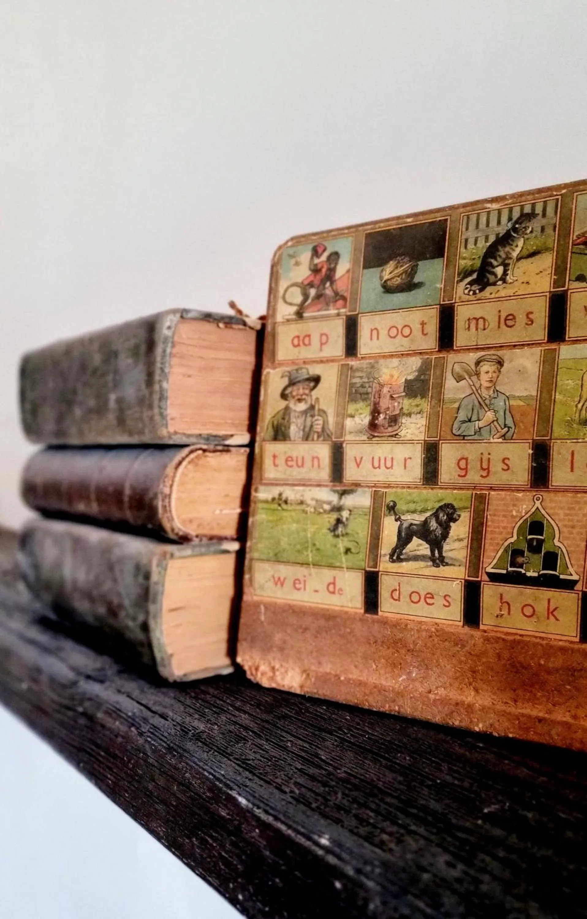 Library in Casa Rodriguillo