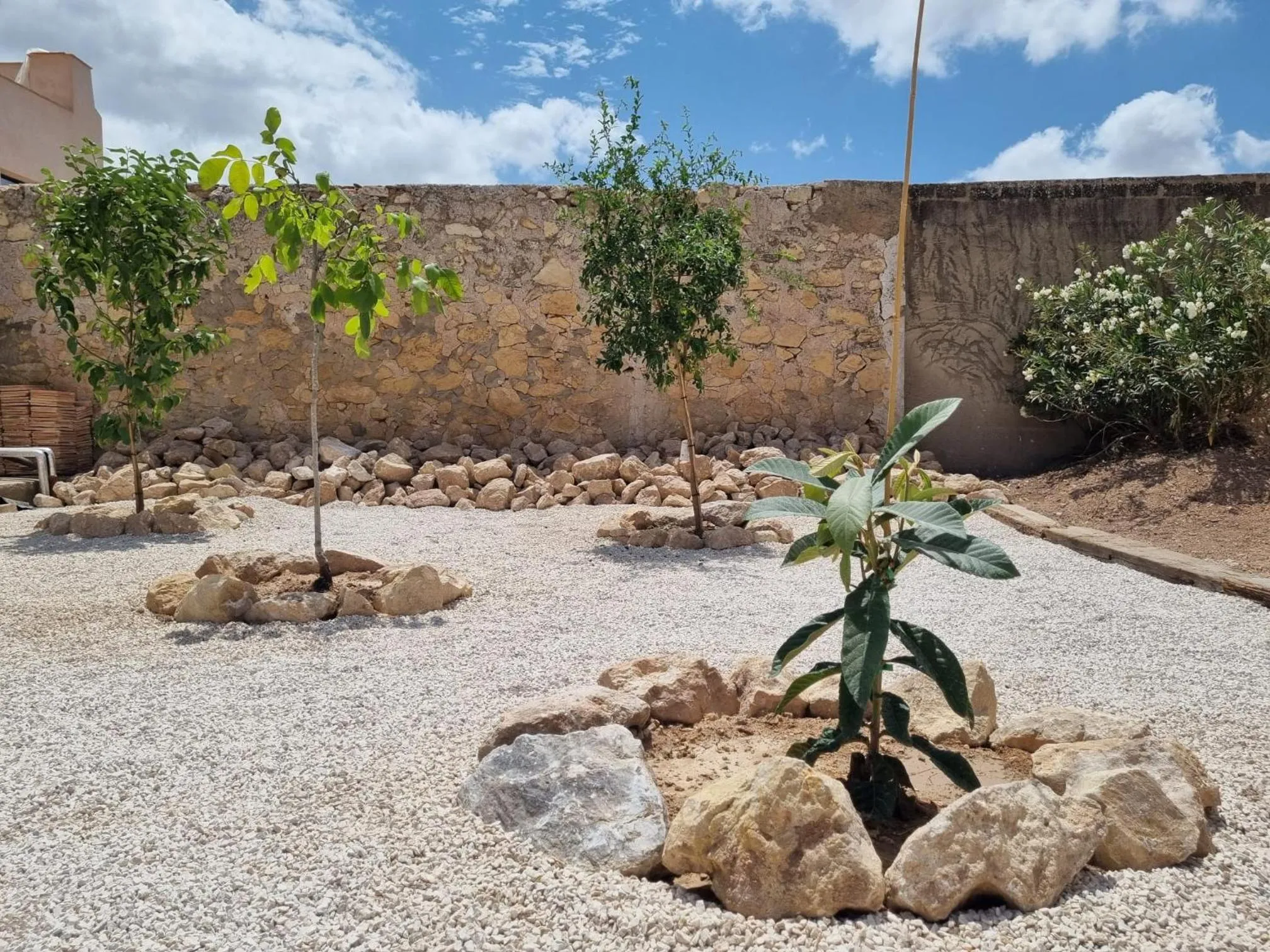 Garden in Casa Rodriguillo