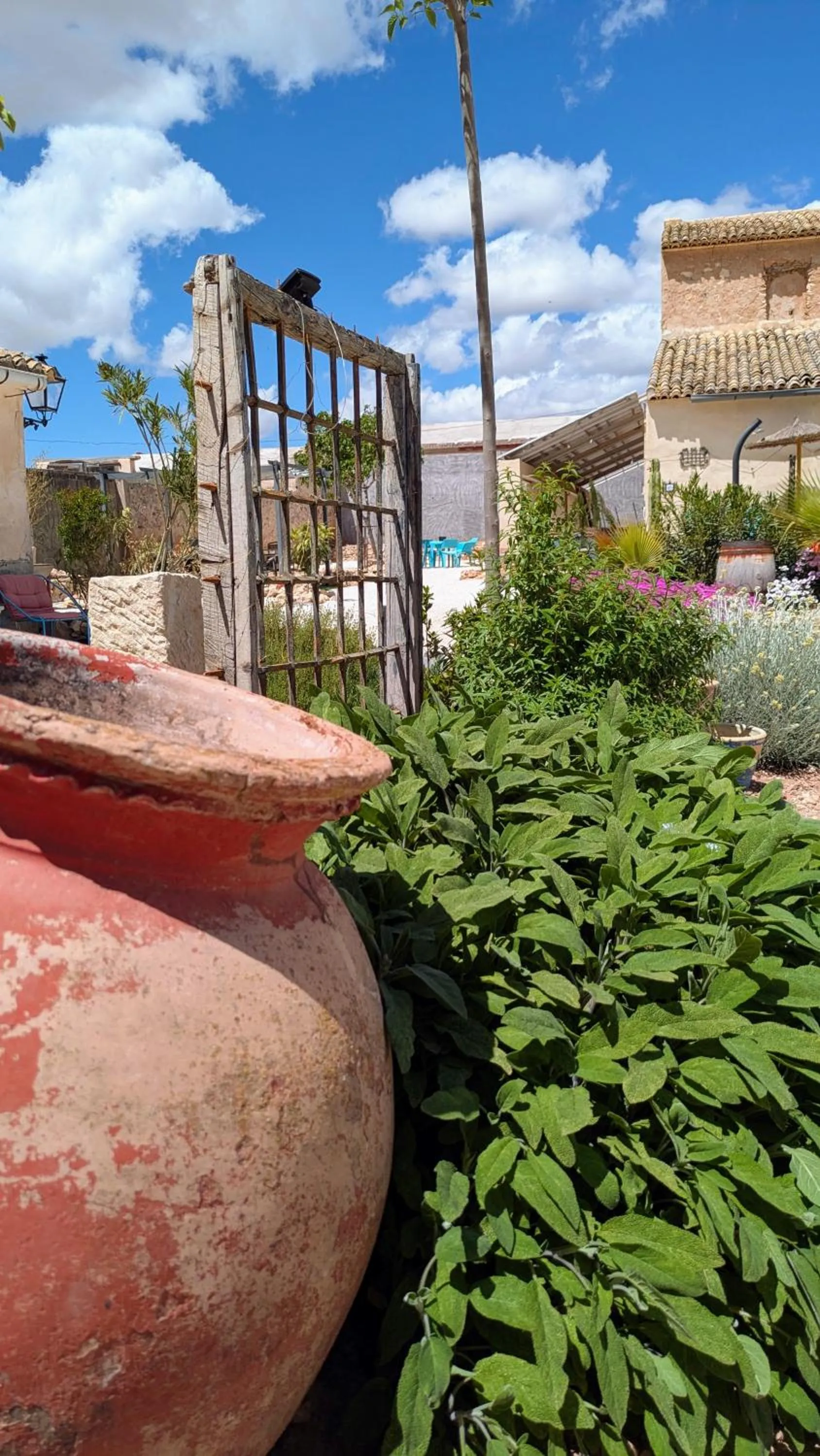 Garden in Casa Rodriguillo