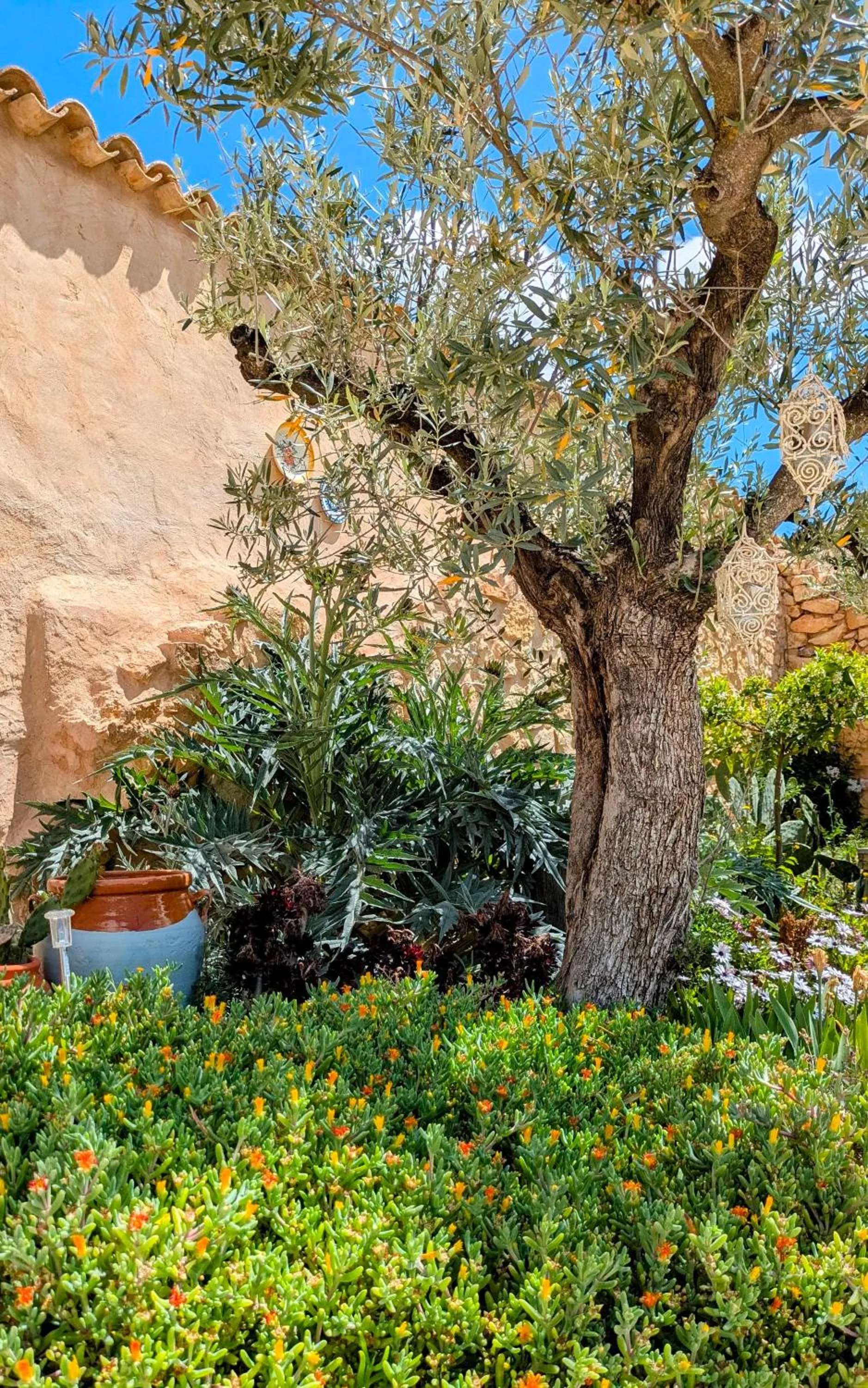 Garden in Casa Rodriguillo
