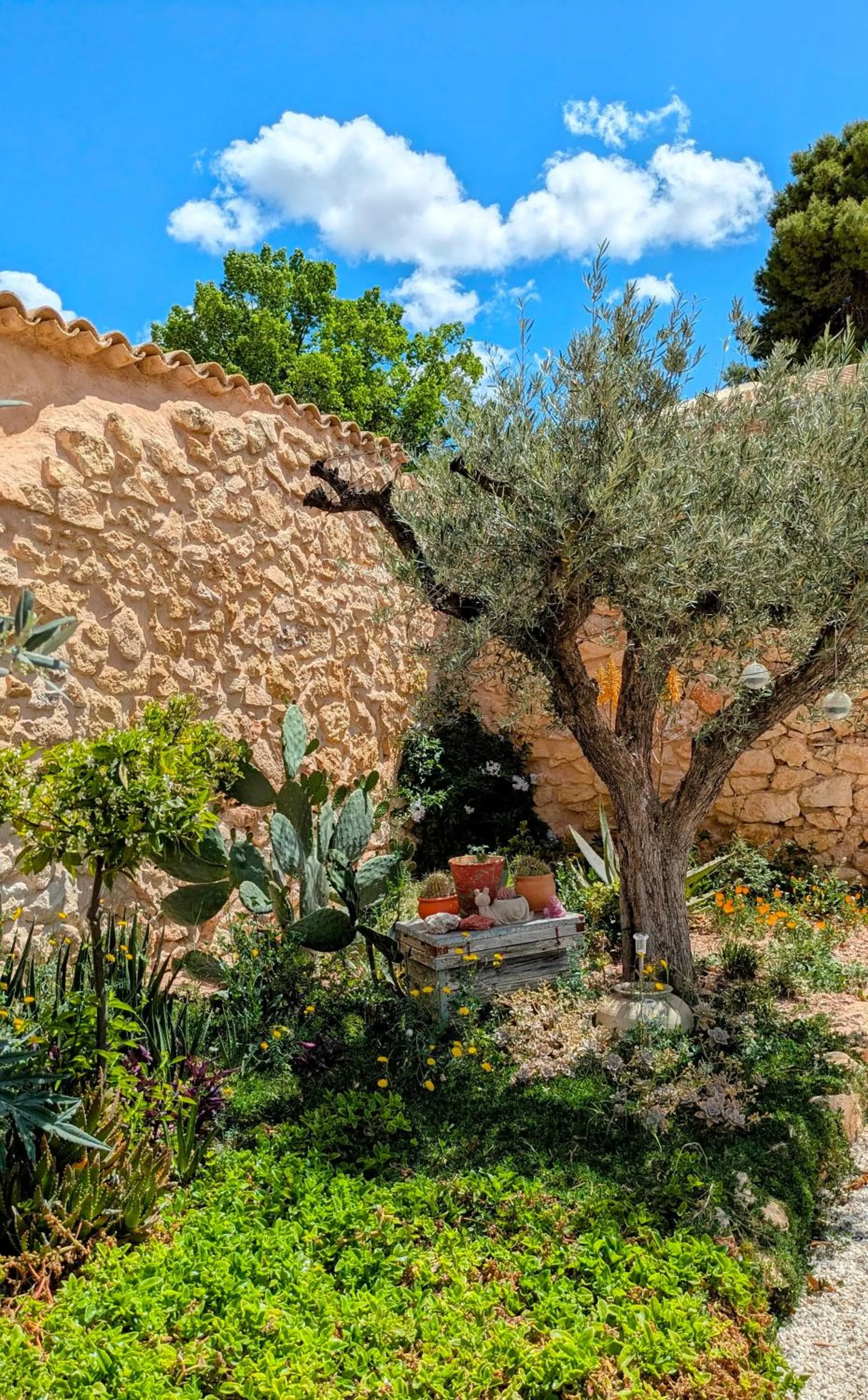 Garden in Casa Rodriguillo