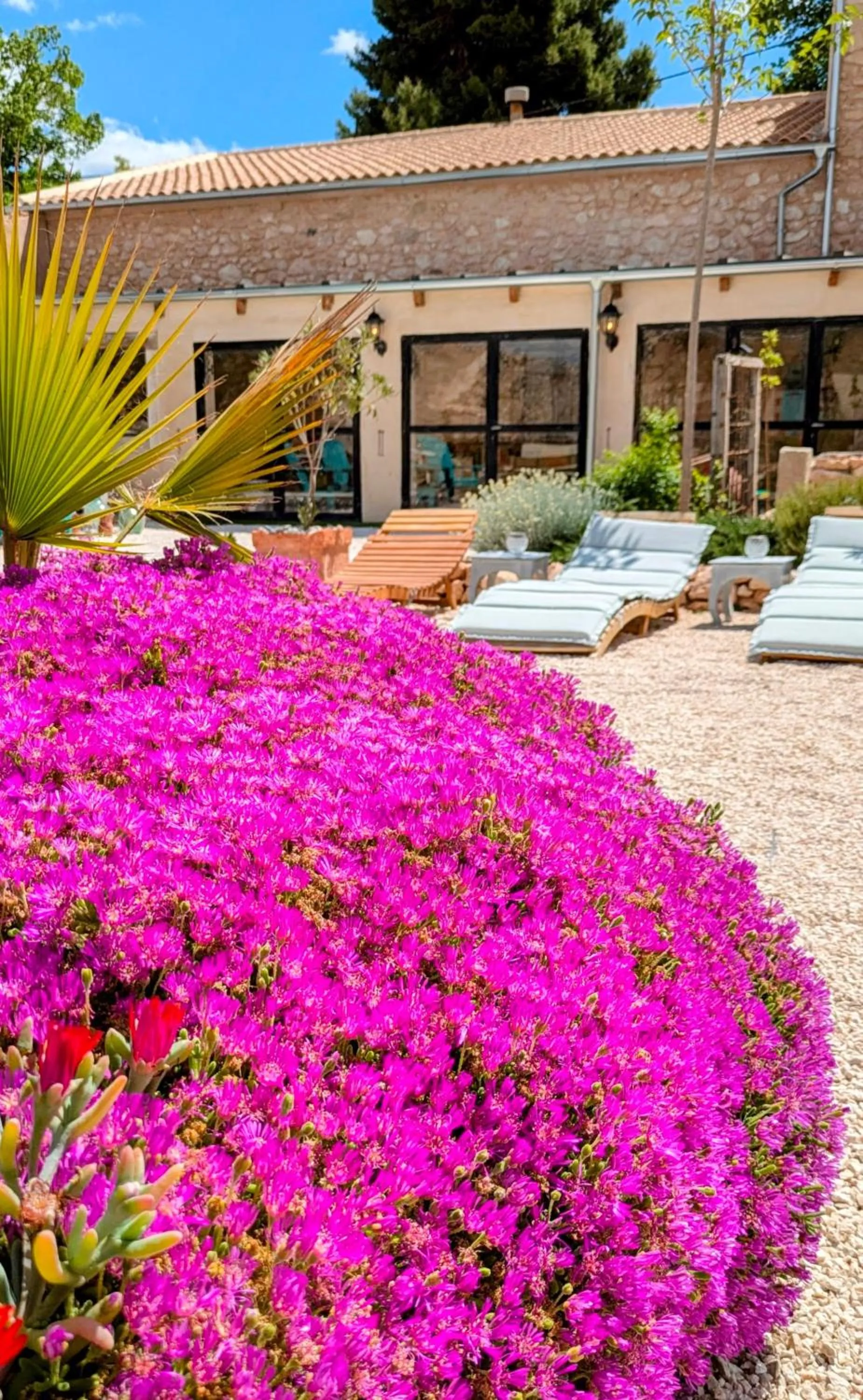 Garden in Casa Rodriguillo