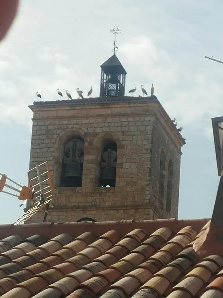 Nearby landmark in Hotel Las Casas de Pandreula