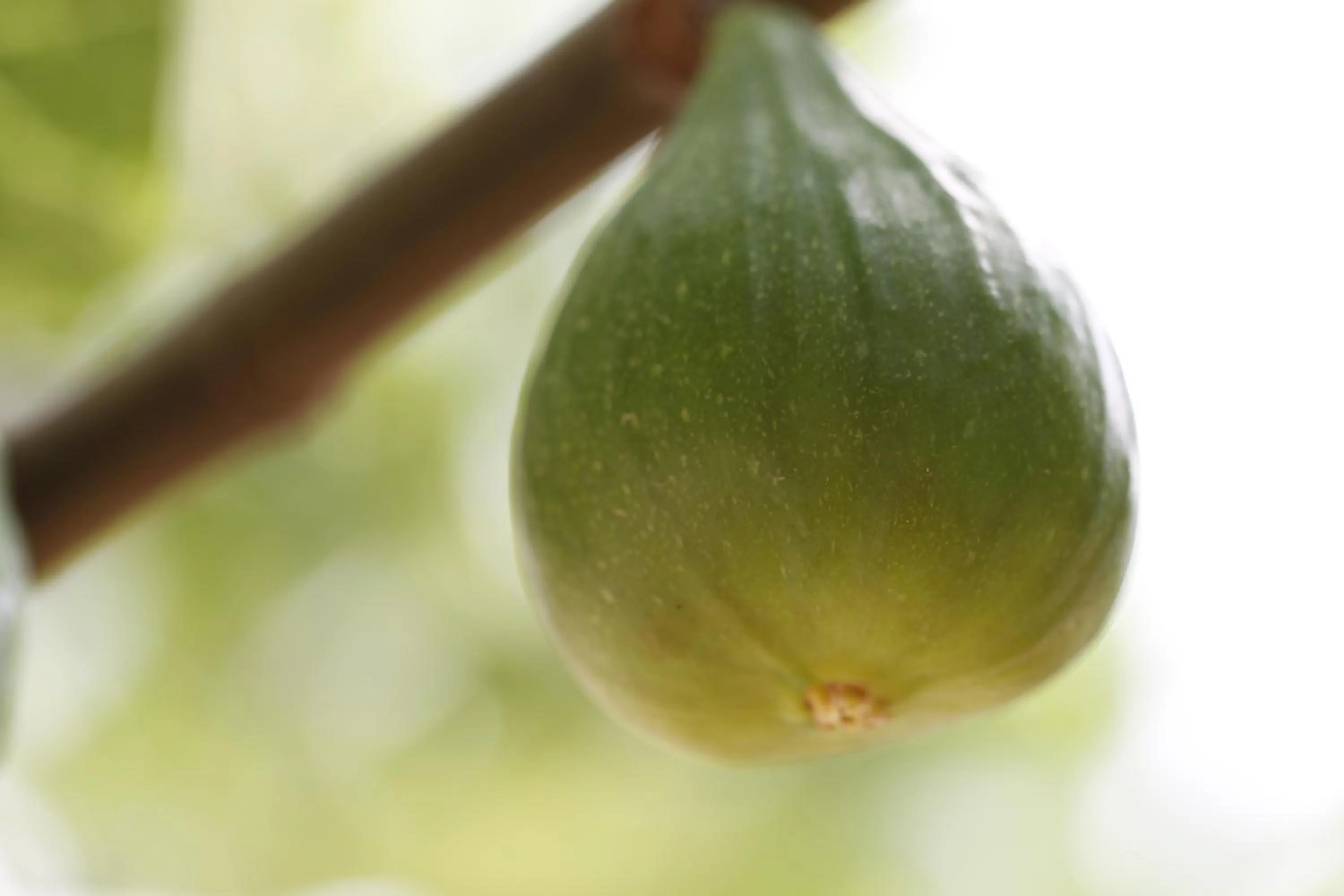 Natural landscape in Agriturismo Posta Pastorella